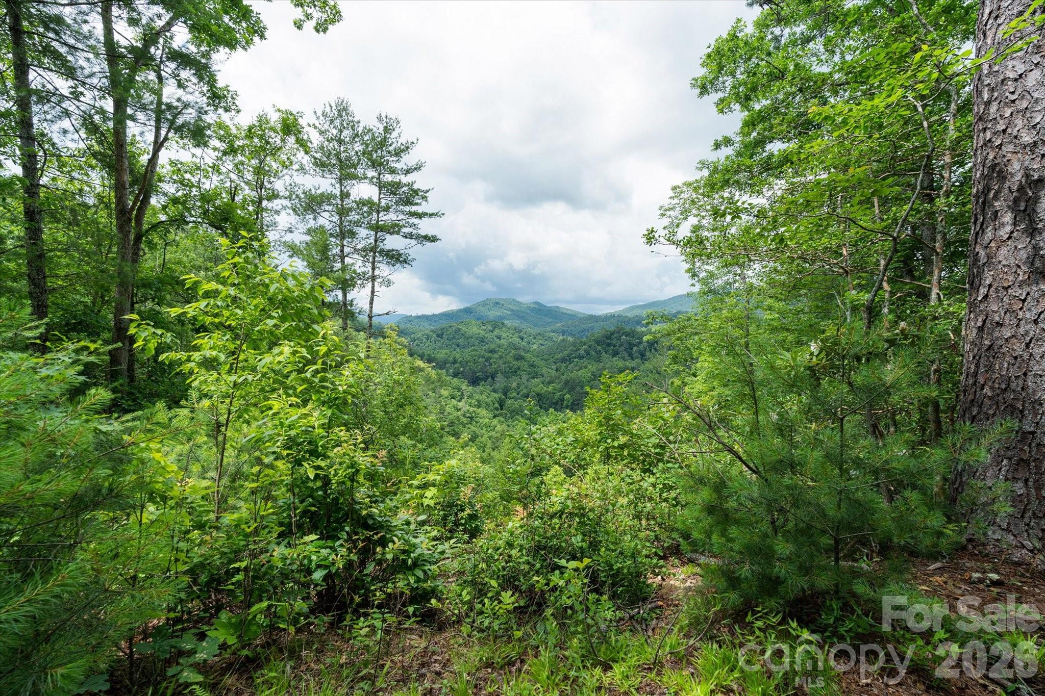 99999 Guntertown Road