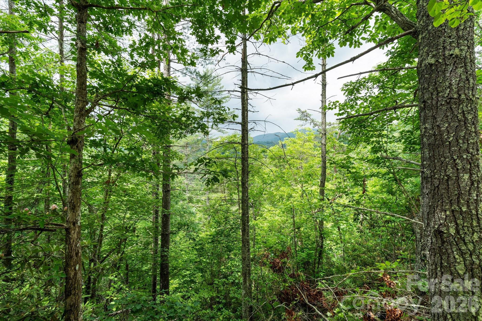 99999 Guntertown Road