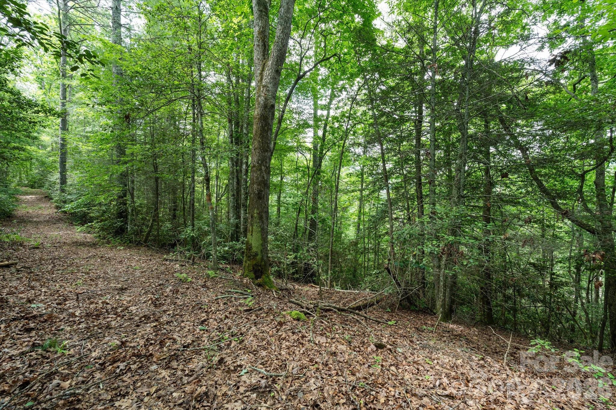 99999 Guntertown Road