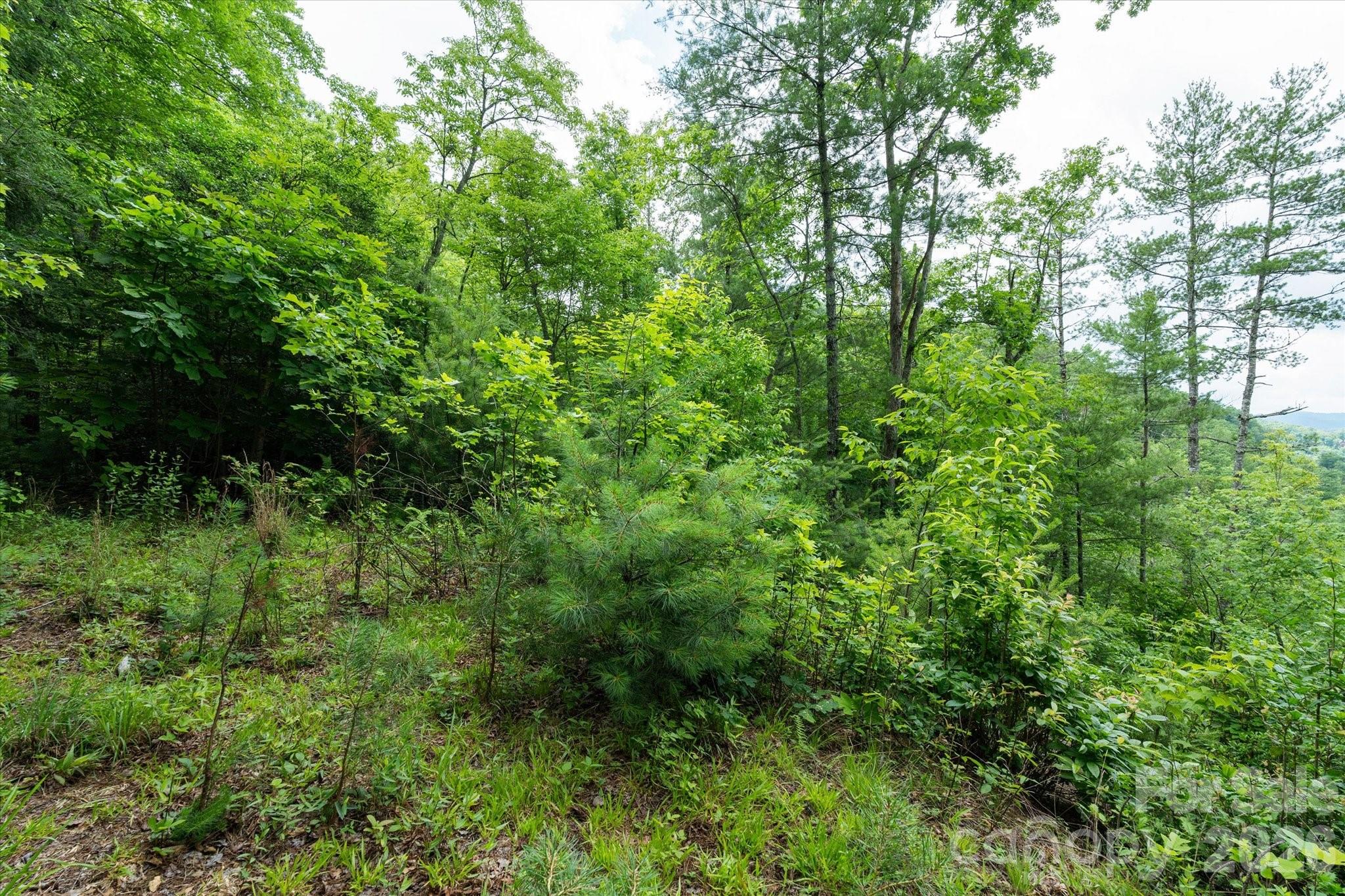 99999 Guntertown Road