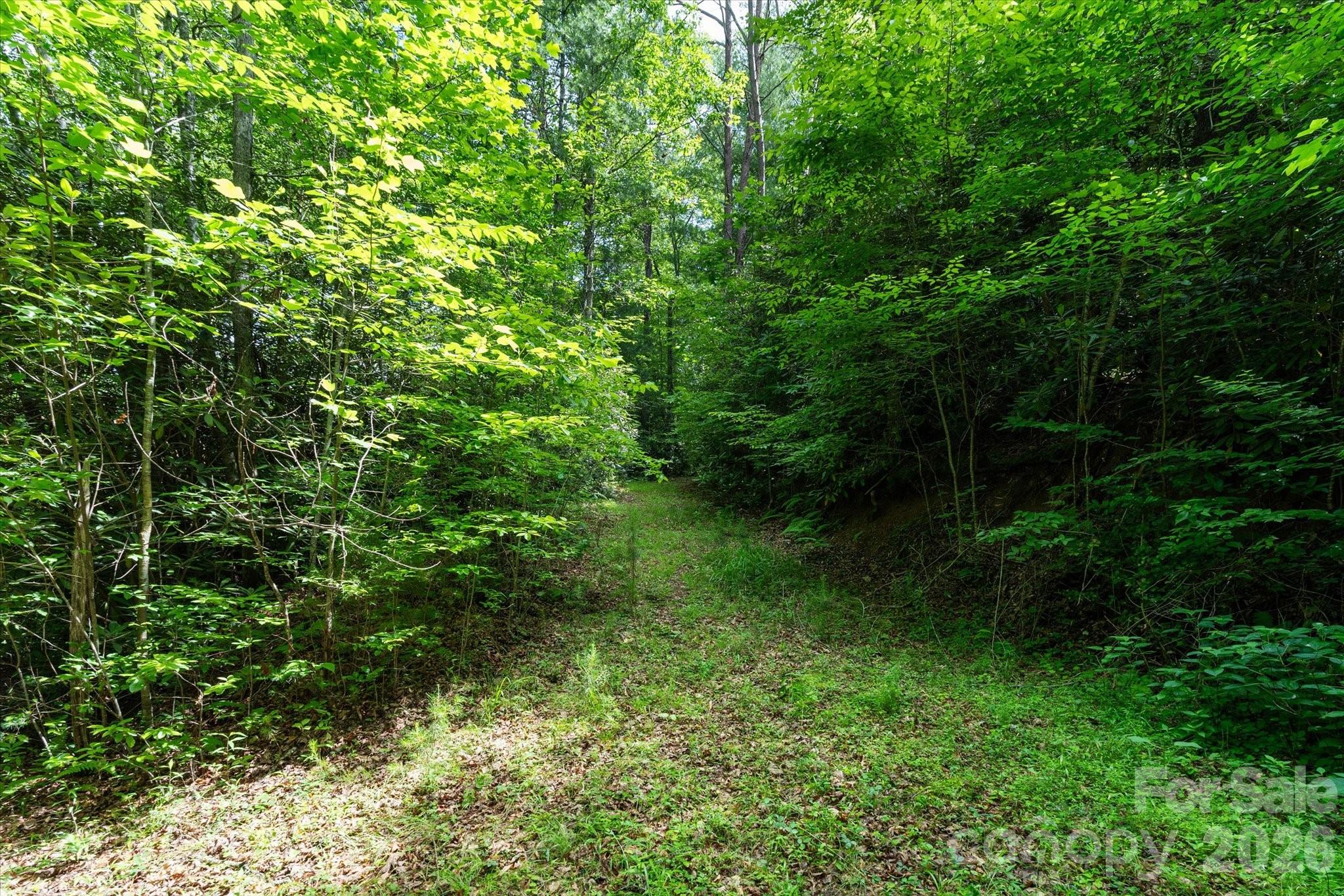 99999 Guntertown Road