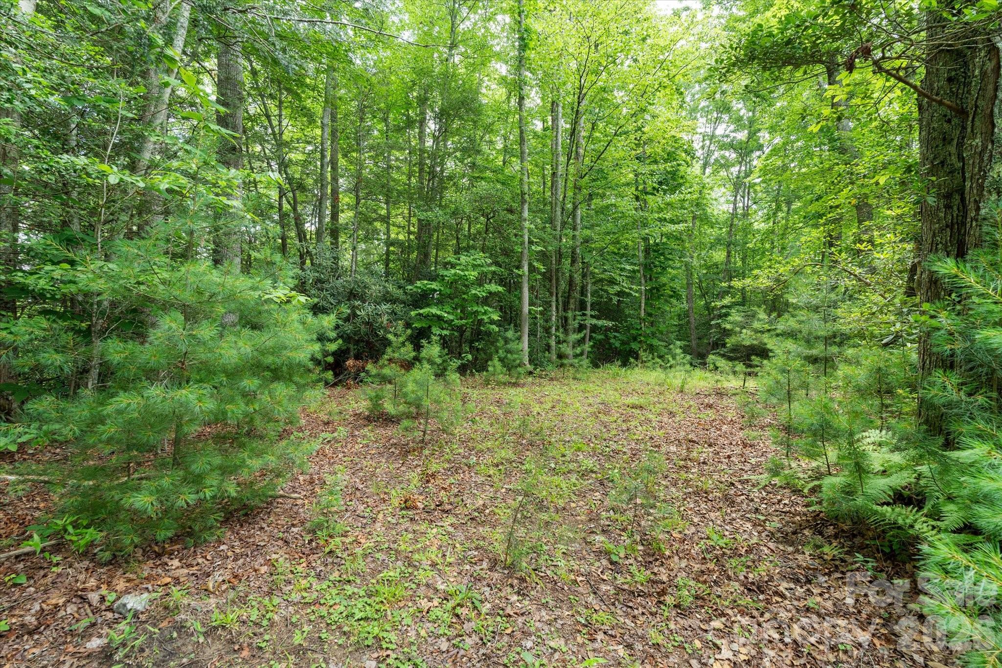 99999 Guntertown Road