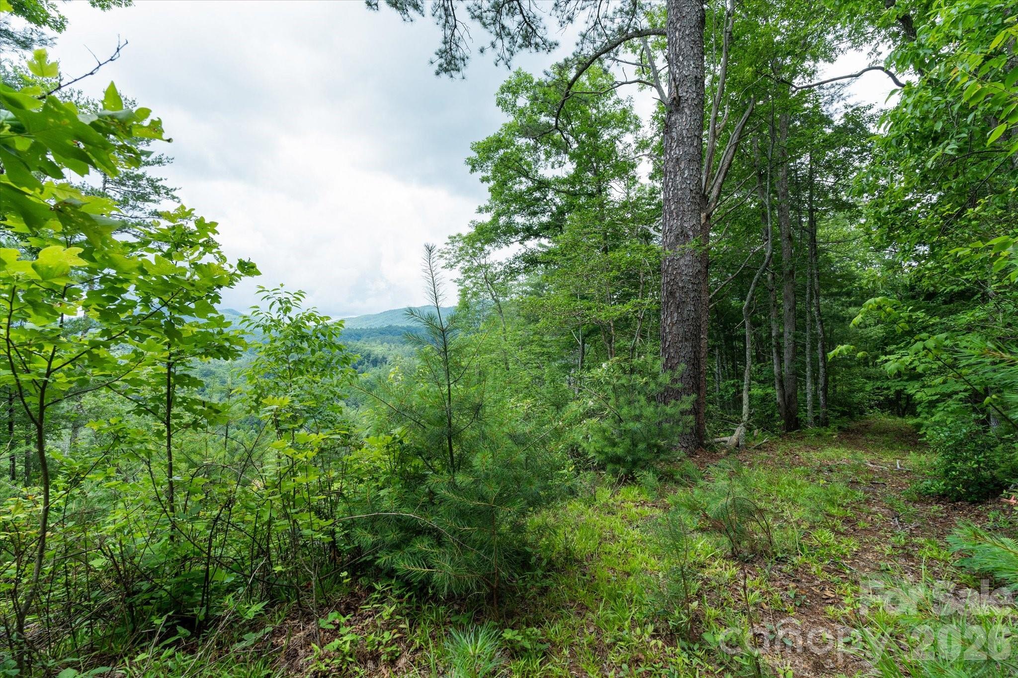 99999 Guntertown Road