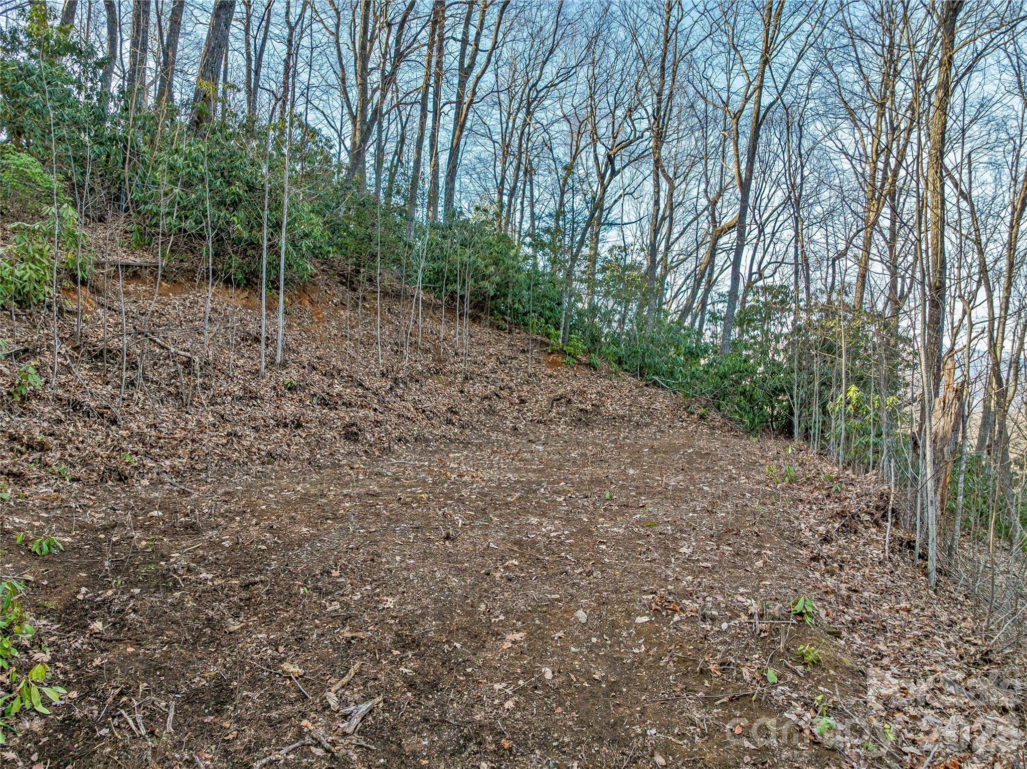 119 Wildflower Cove Drive