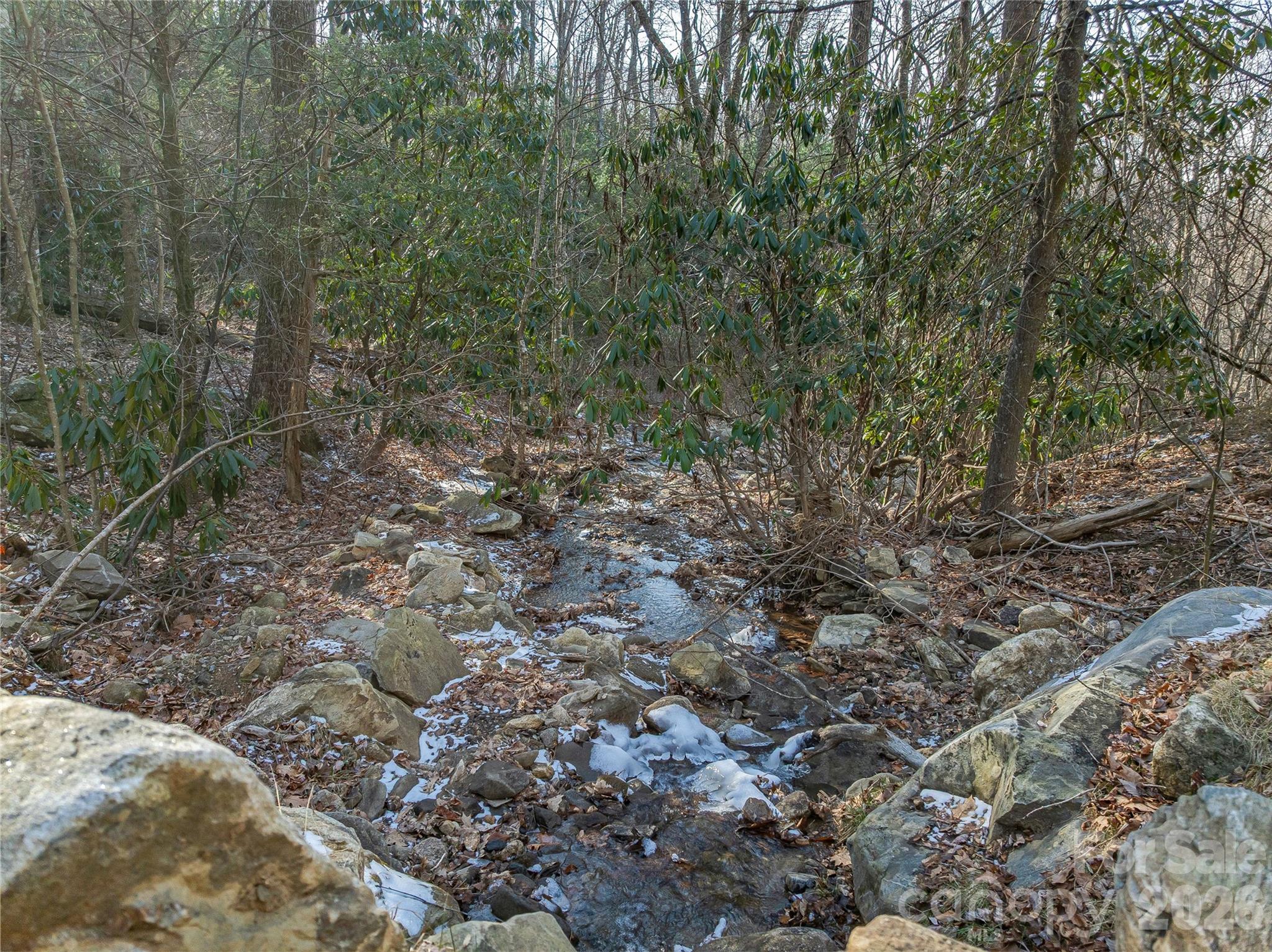 119 Wildflower Cove Drive