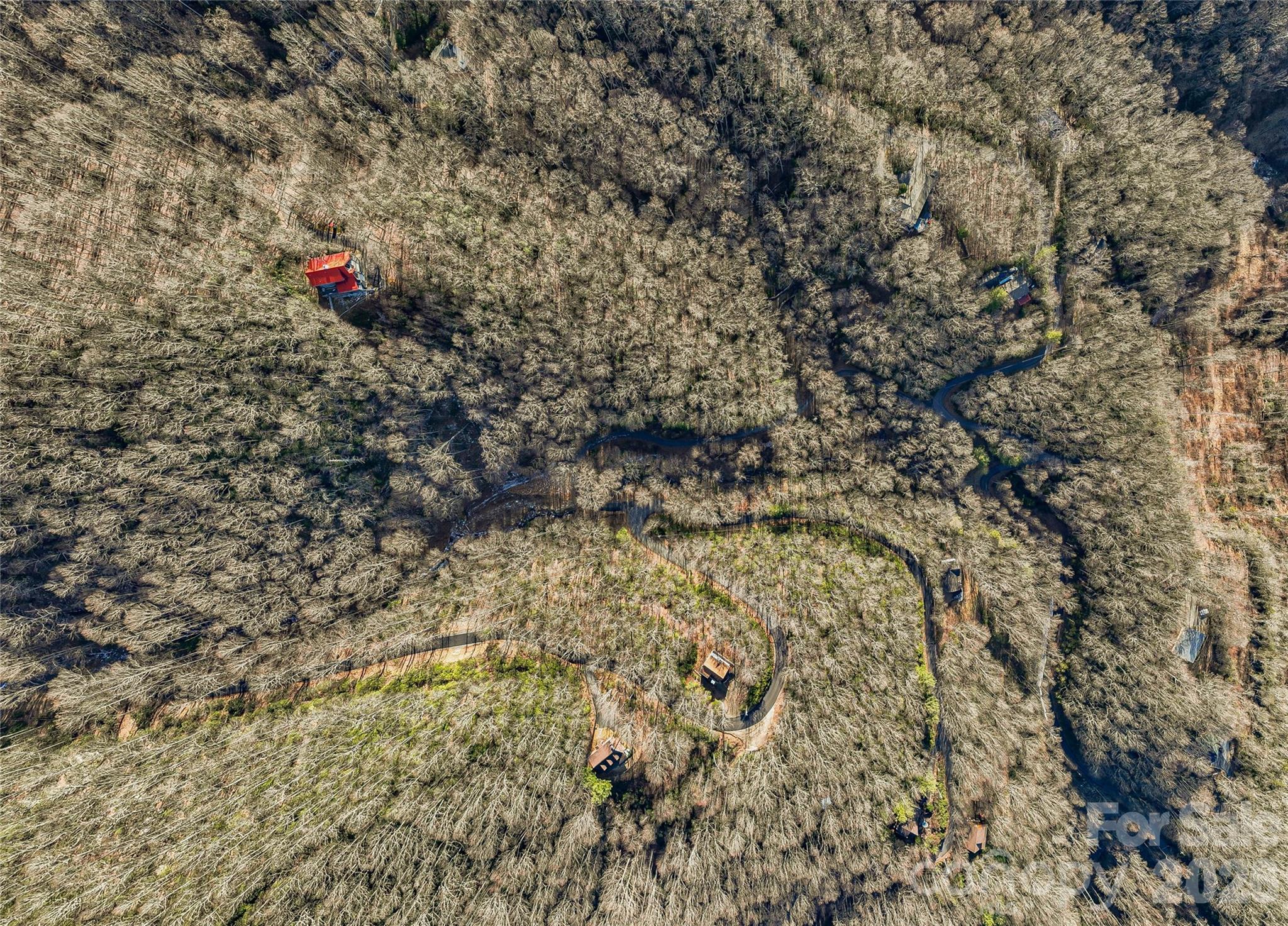 119 Wildflower Cove Drive