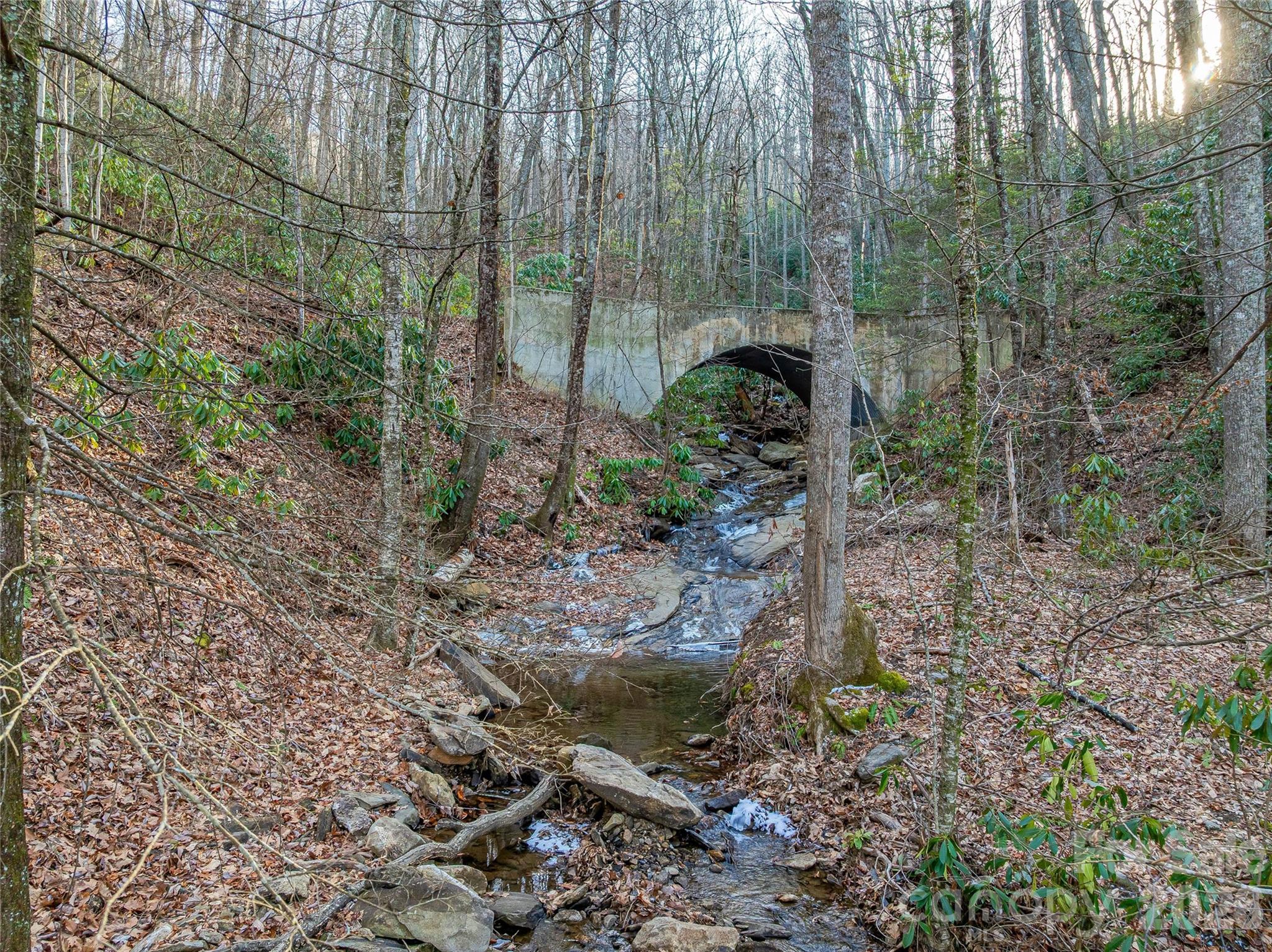 119 Wildflower Cove Drive