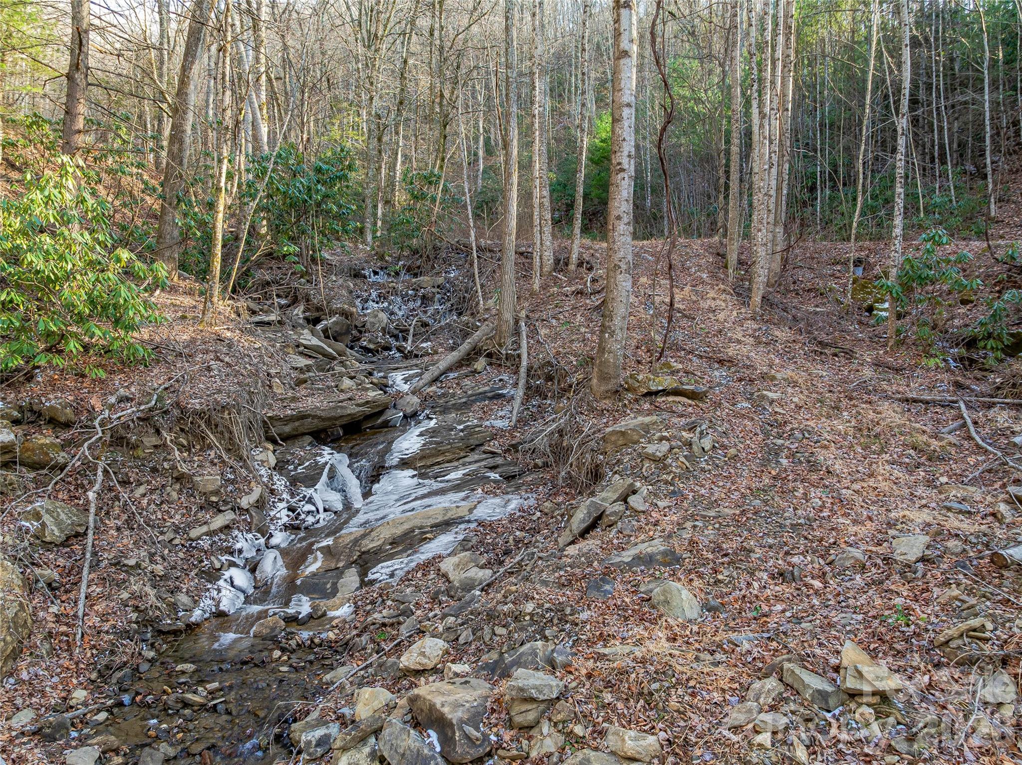 119 Wildflower Cove Drive