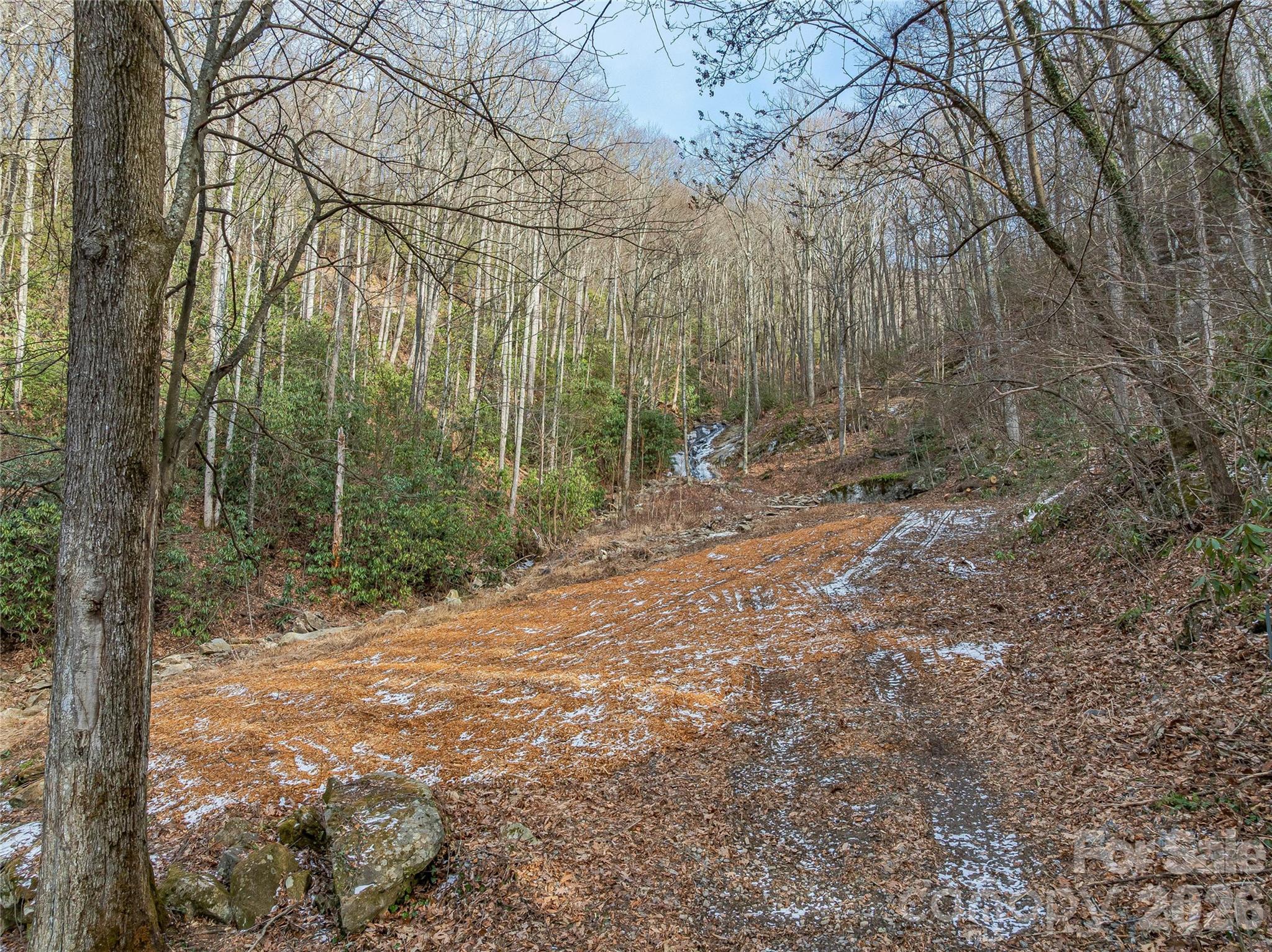 119 Wildflower Cove Drive