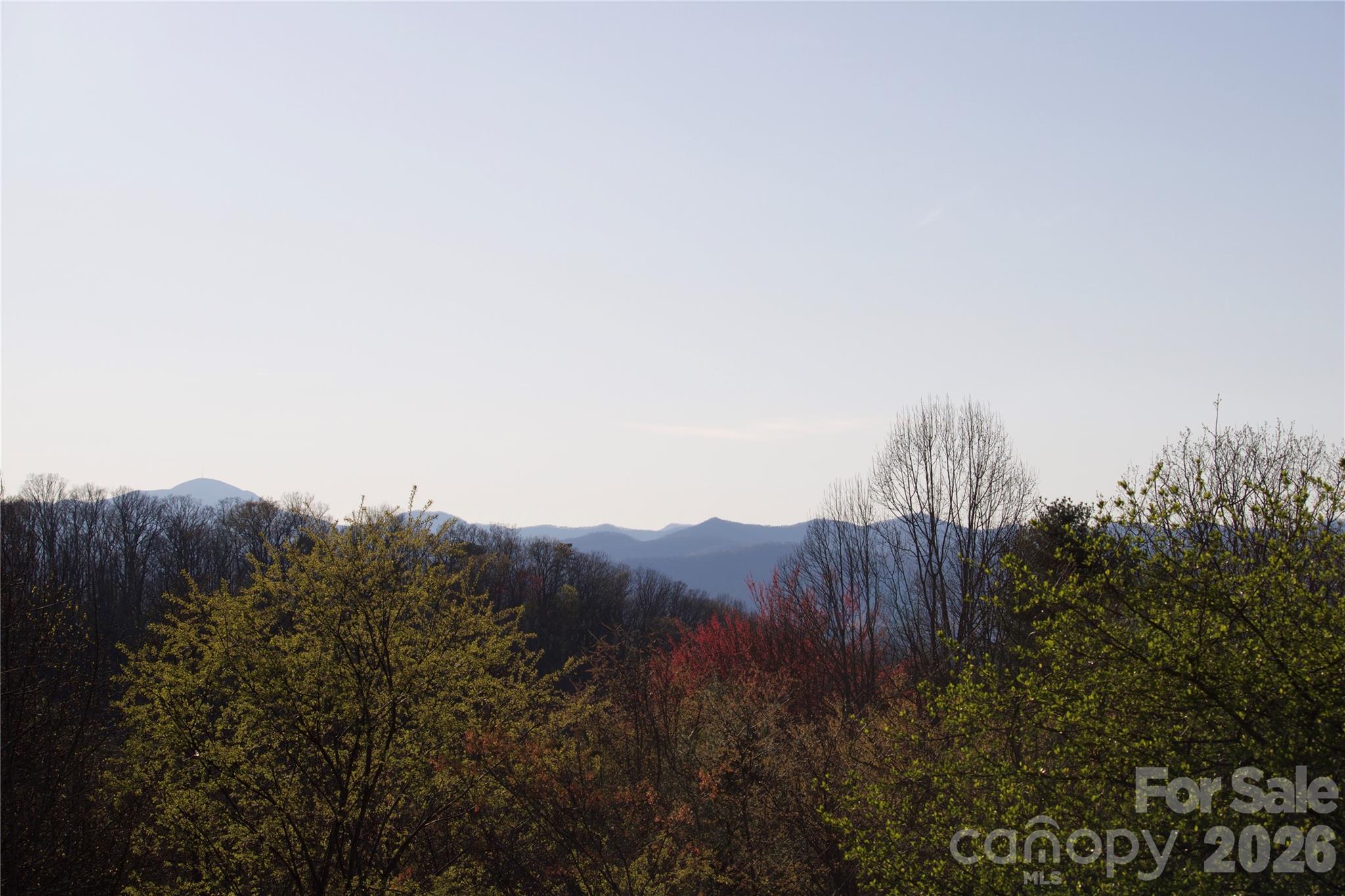 751 Hutch Mountain Road