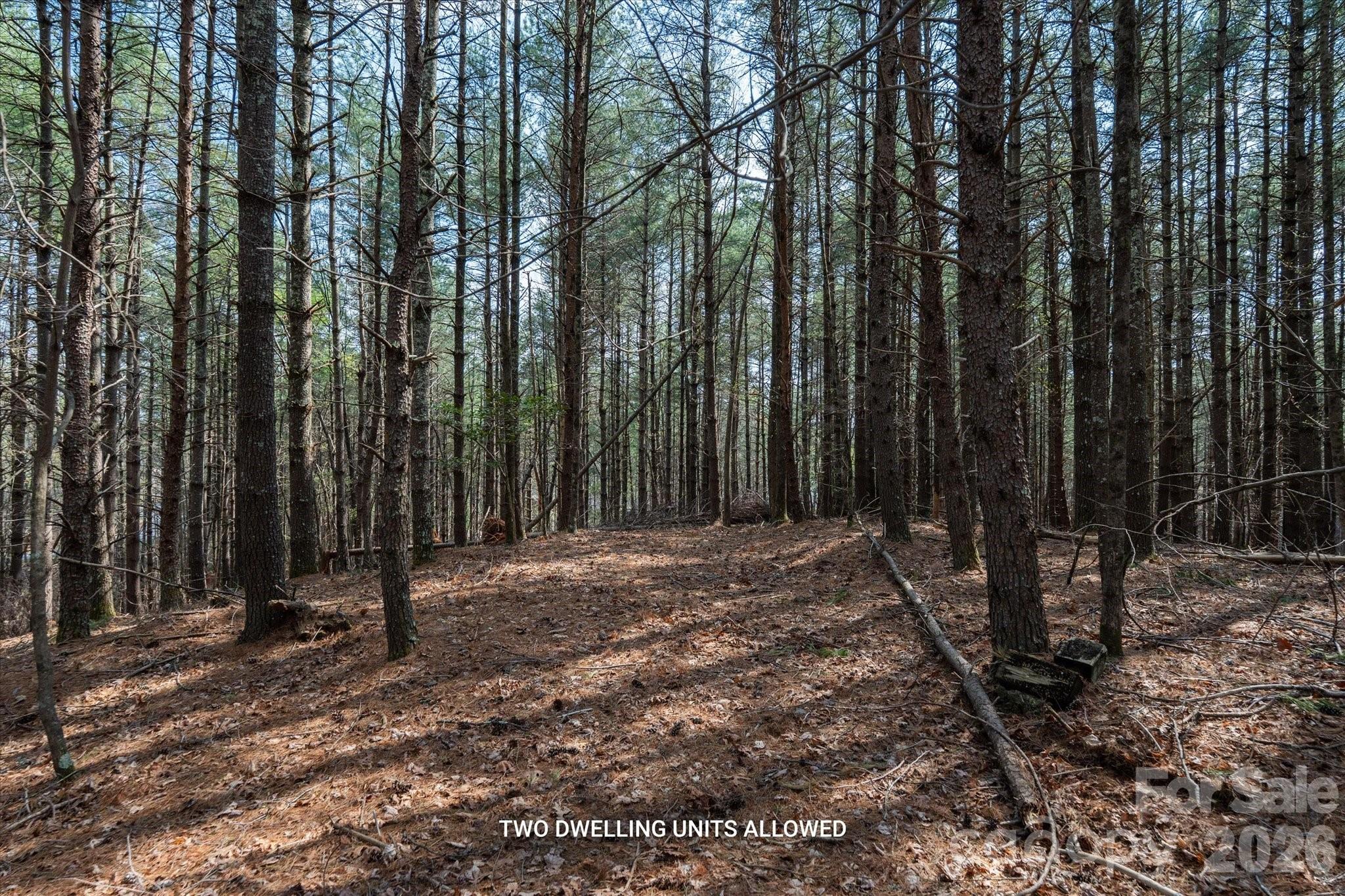 40 Turtle Head Drive