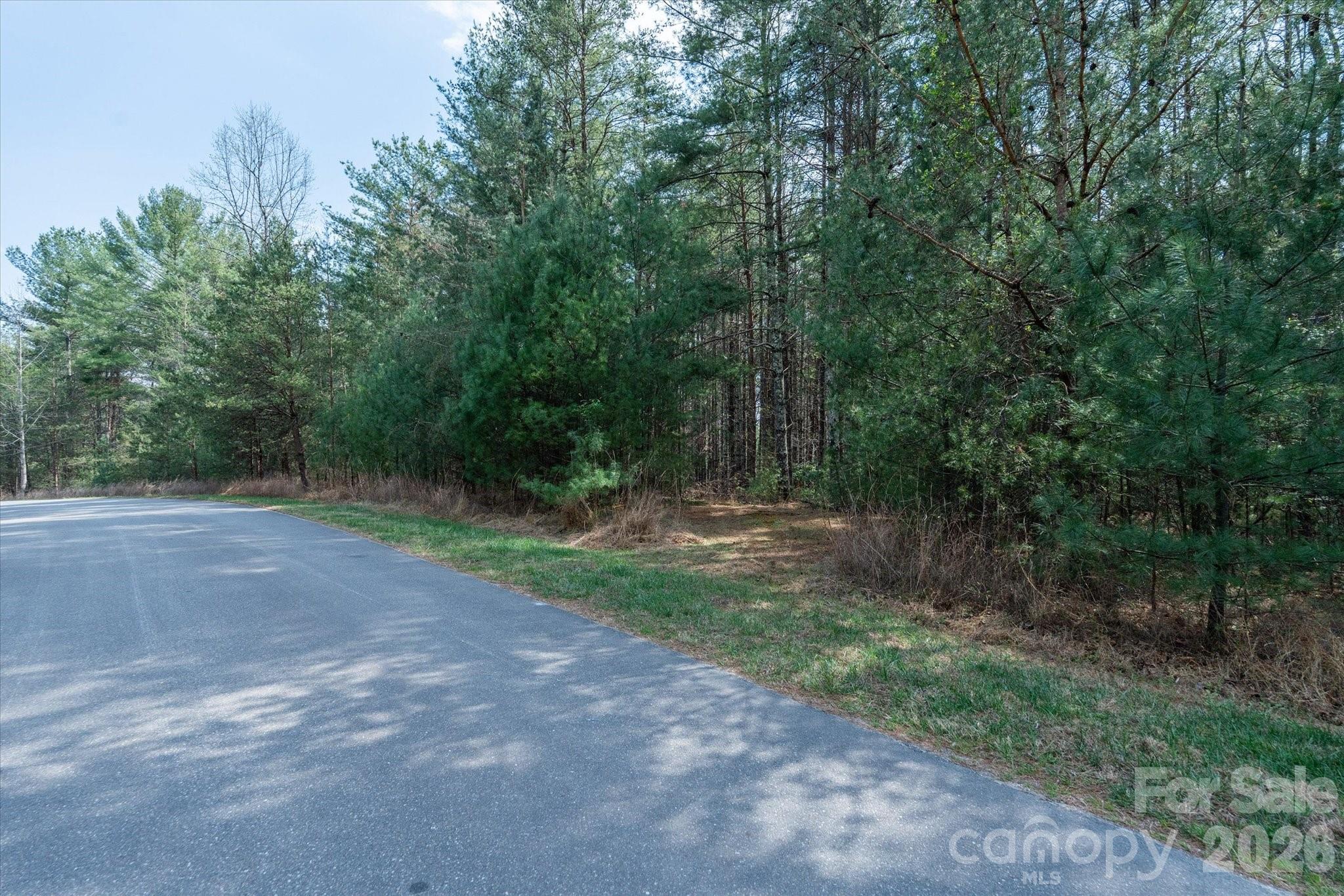 40 Turtle Head Drive