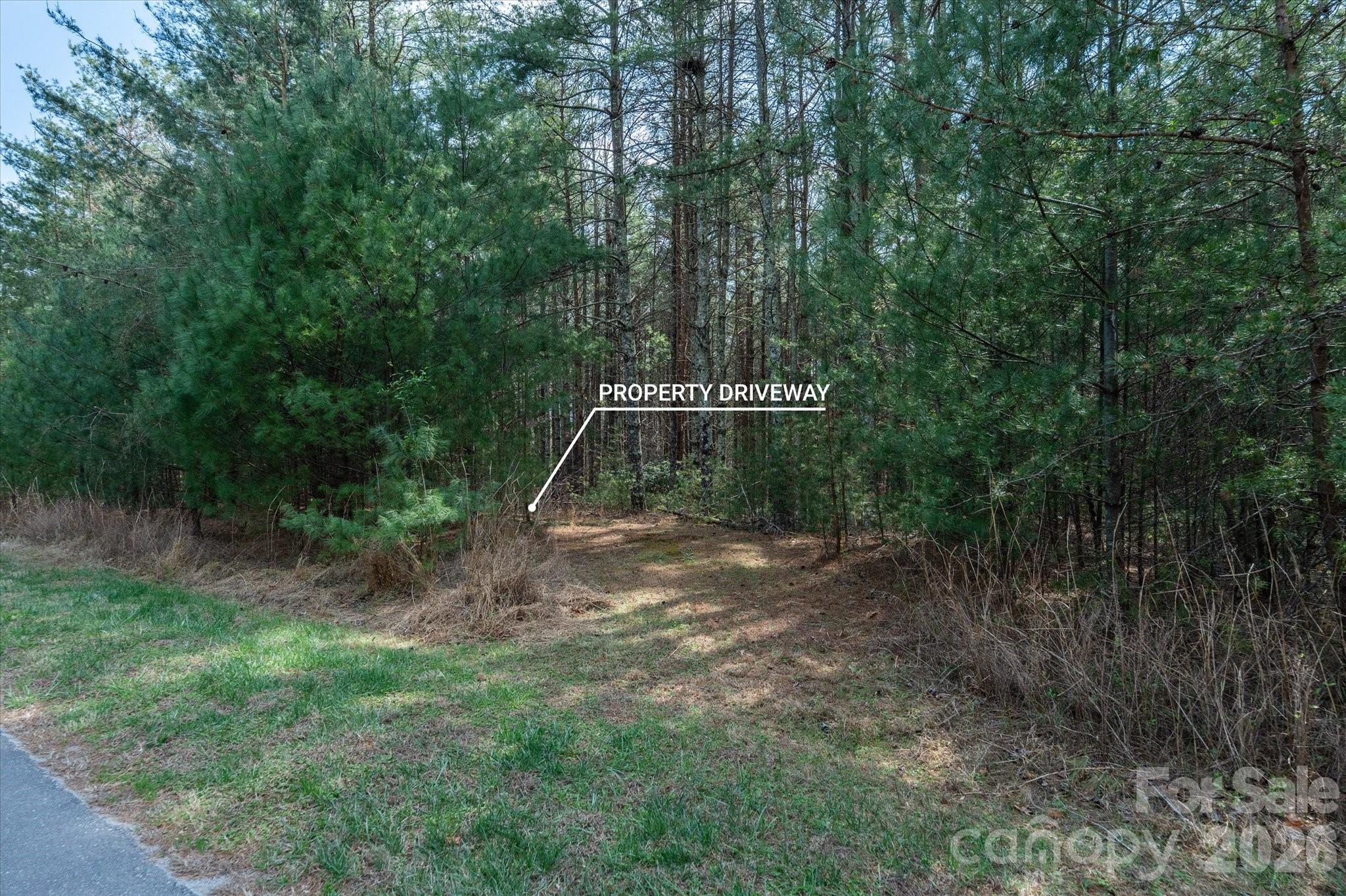 40 Turtle Head Drive