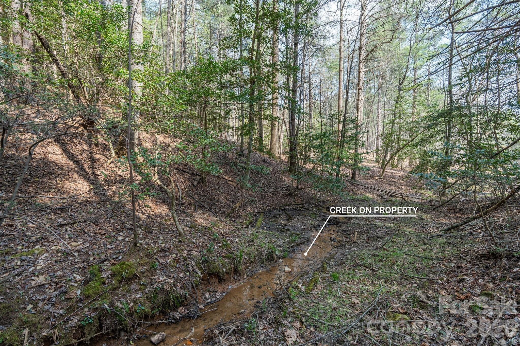 40 Turtle Head Drive