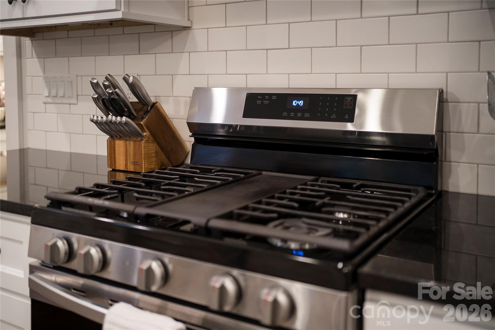 509 Sweet Birch Park Lane