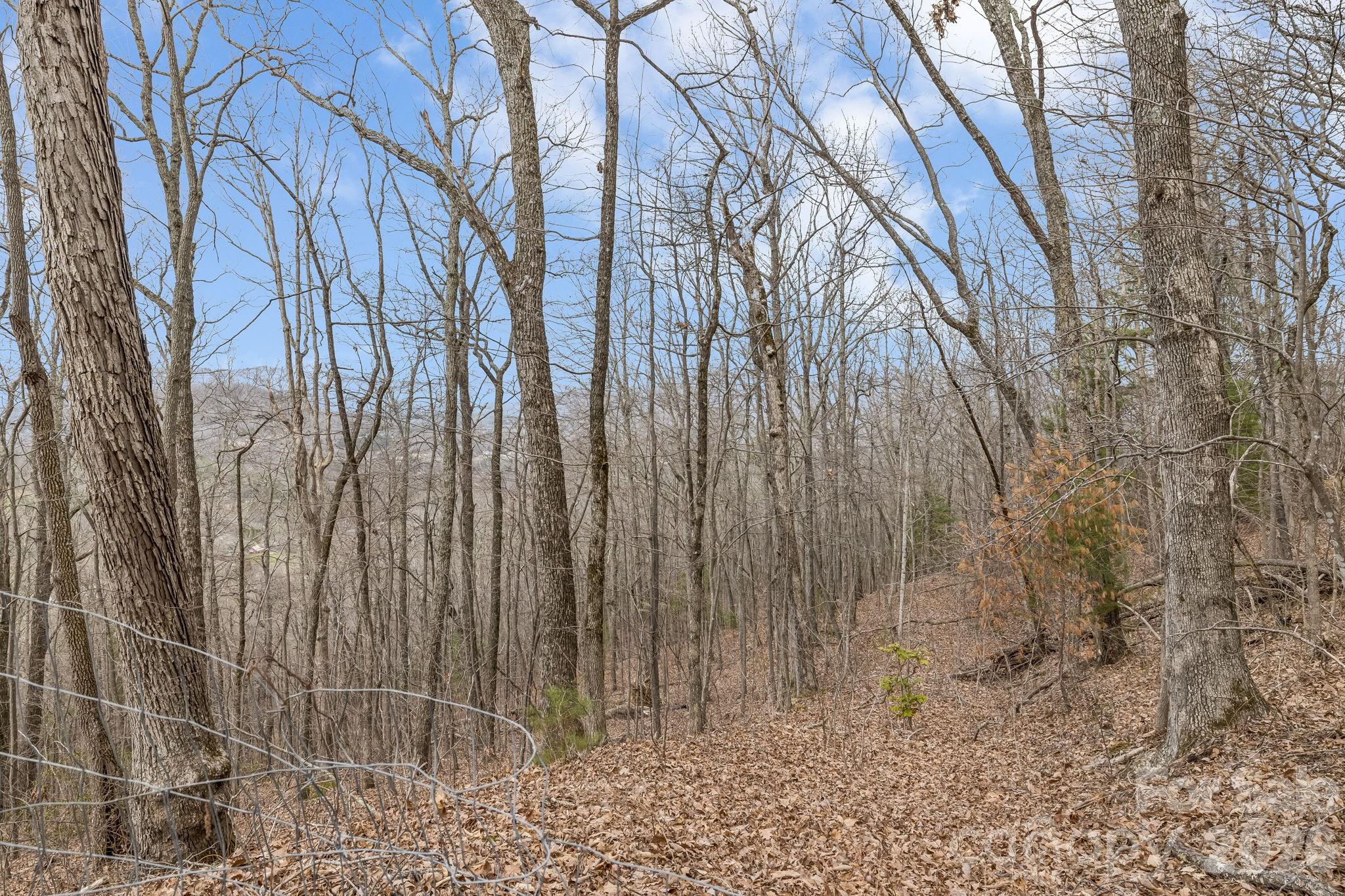 99999 Oak Ridge Road