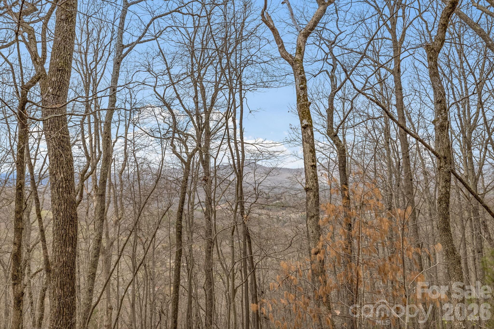 99999 Oak Ridge Road