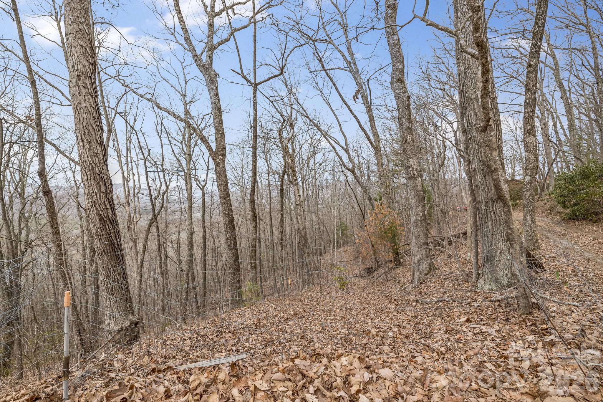 99999 Oak Ridge Road