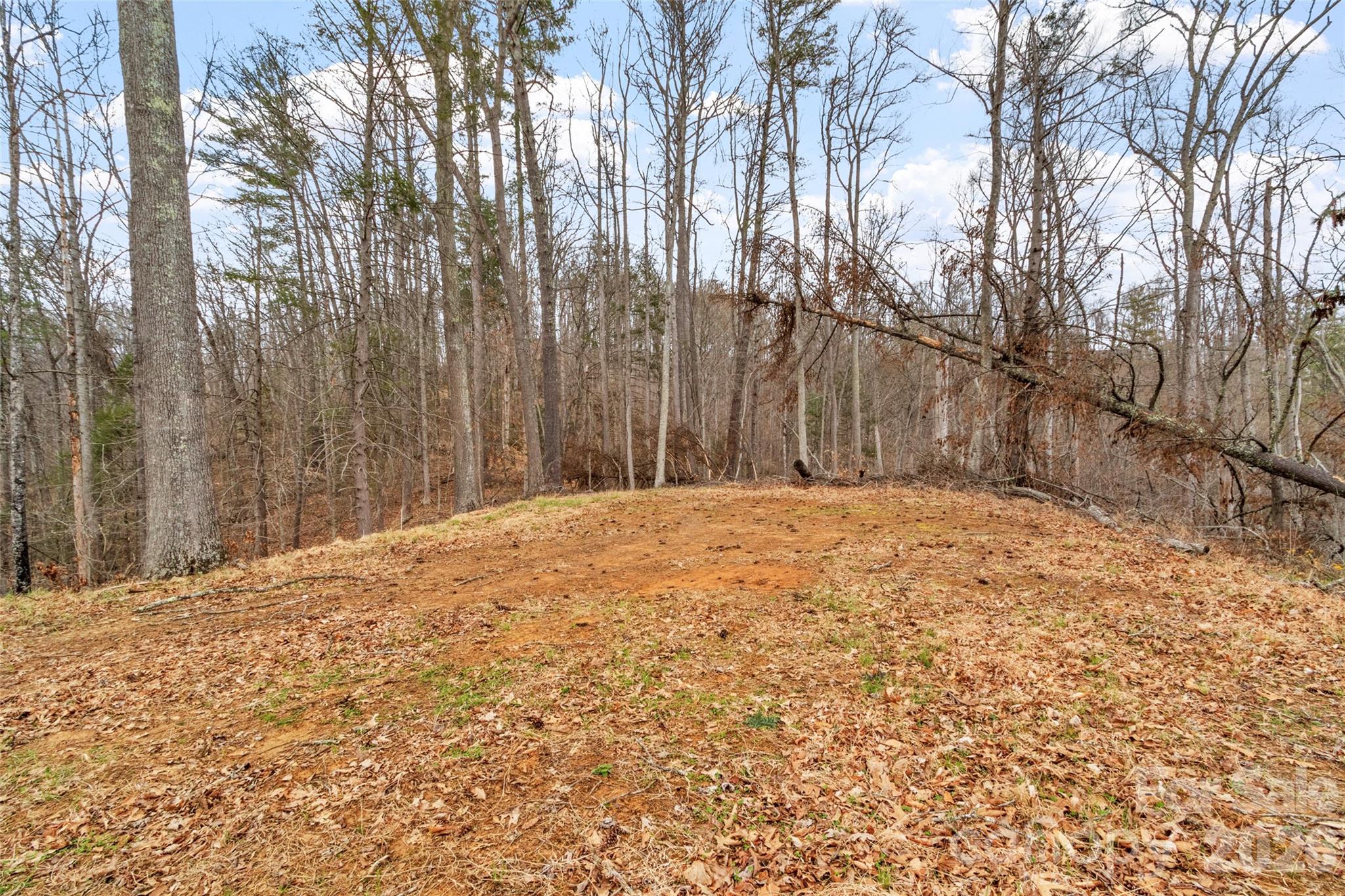 2701 Roses Branch Road
