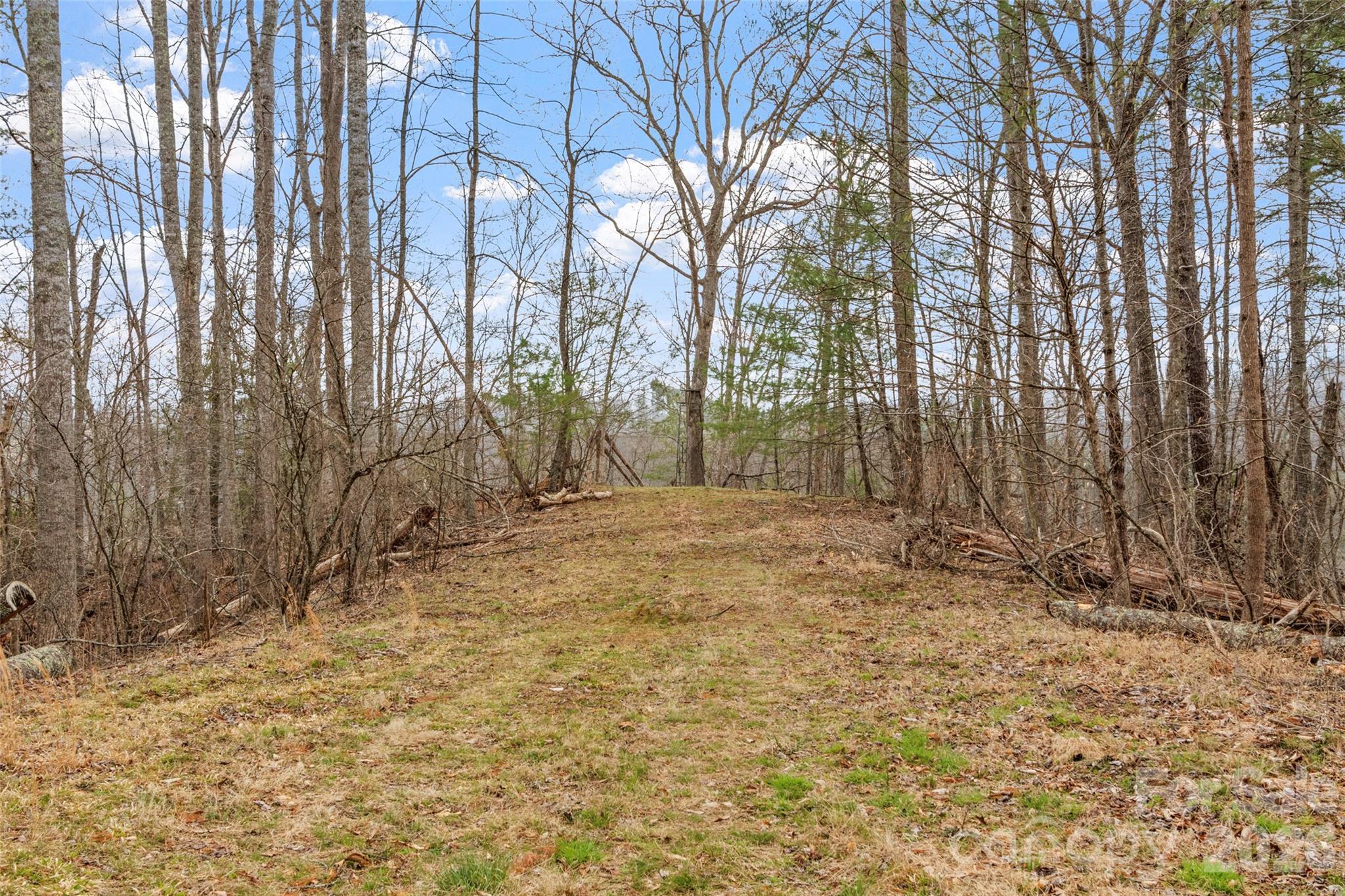 2701 Roses Branch Road