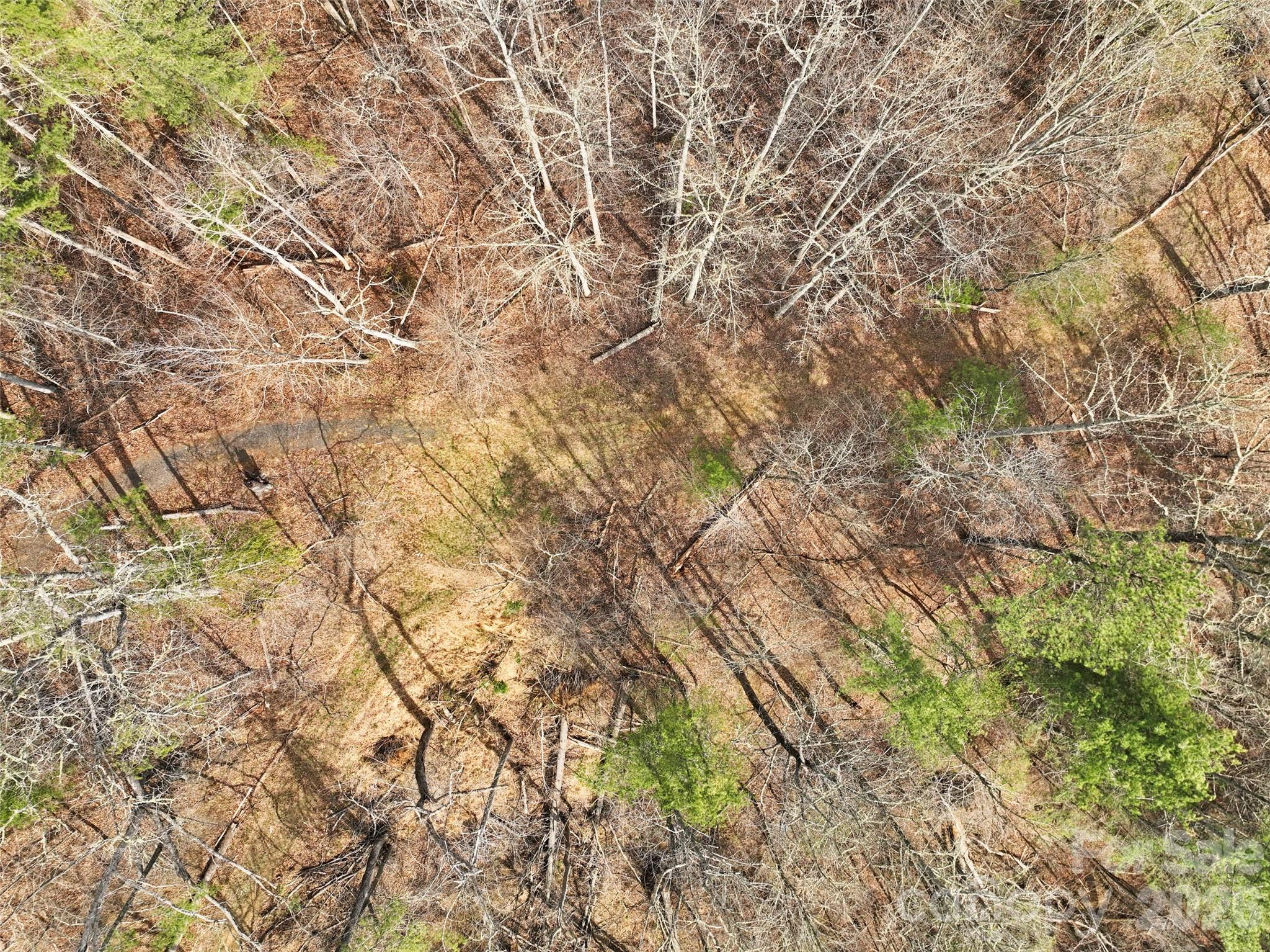 2701 Roses Branch Road