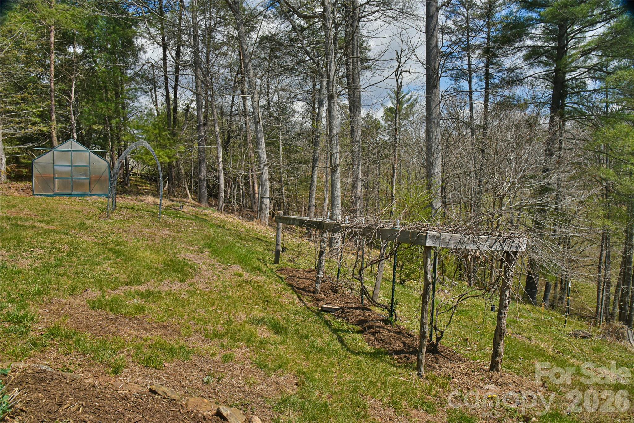 326 Panther Branch Road