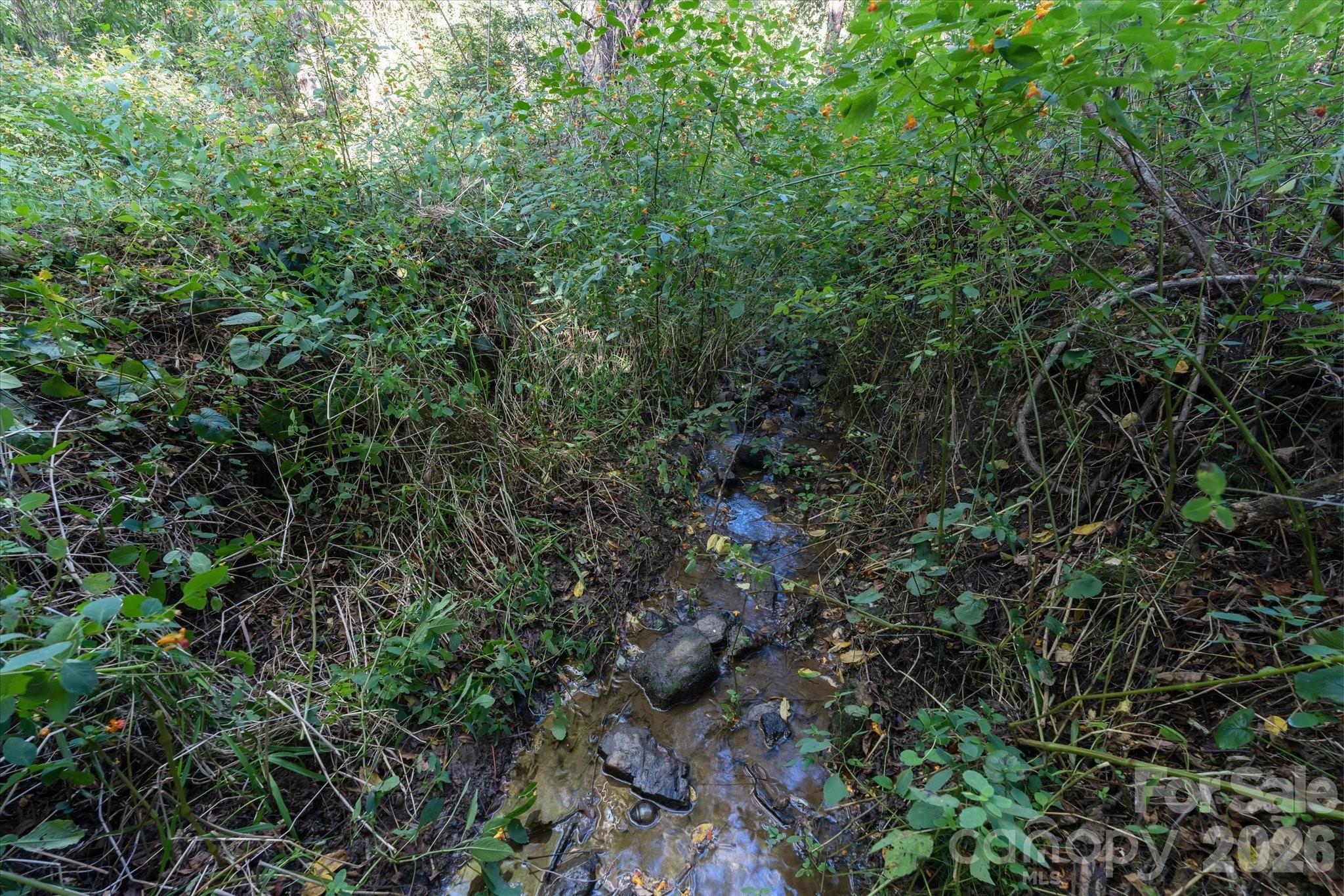 TBD Crymes Cove Road Unit: 8-A