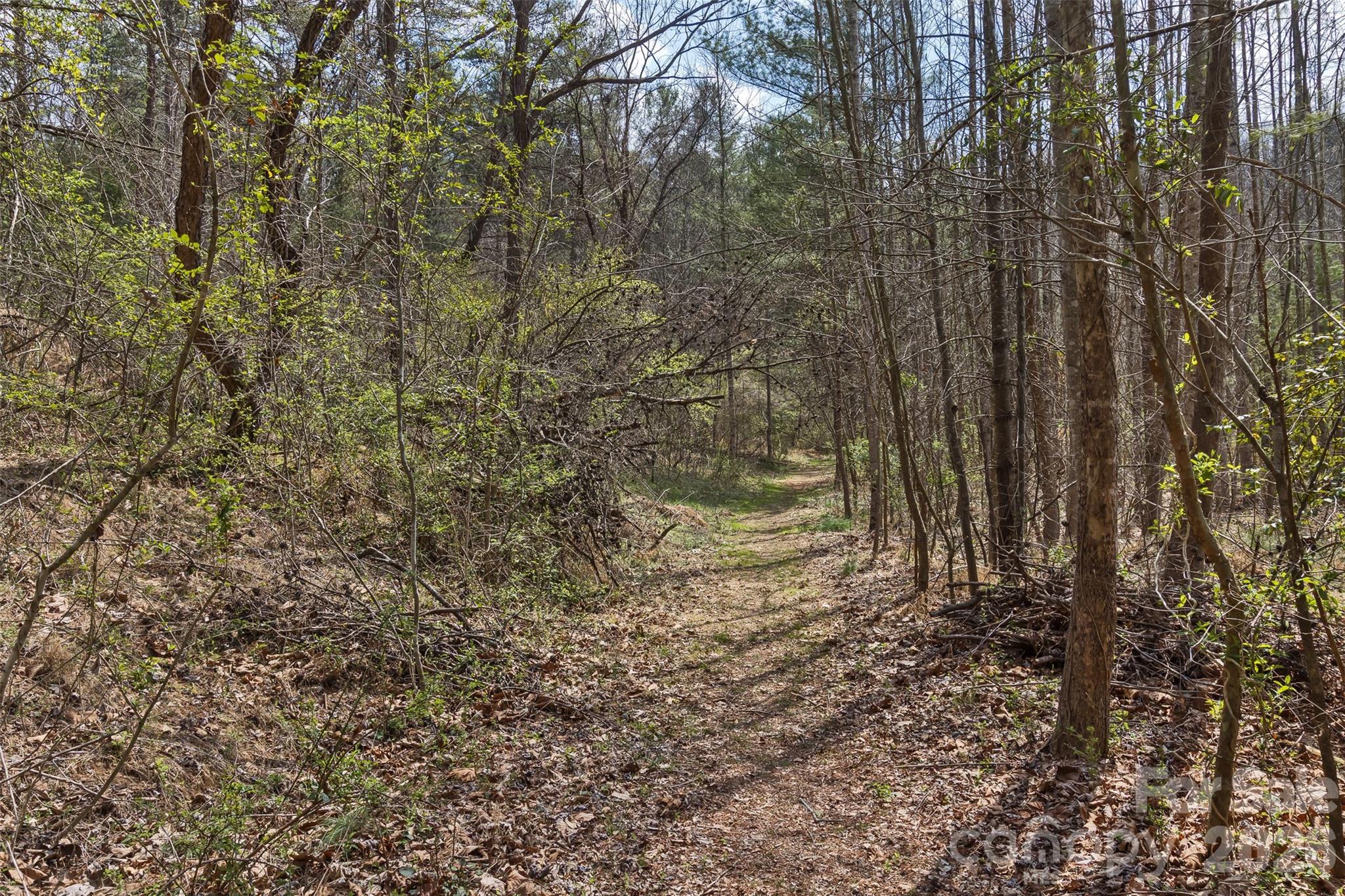 35 Pinebrook Club Drive