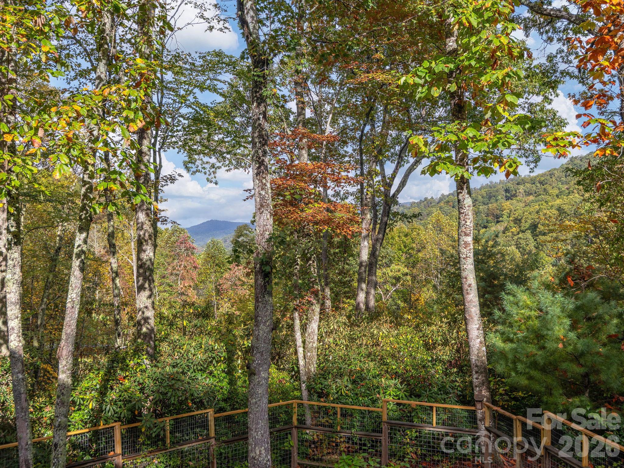102 Carriage Drive