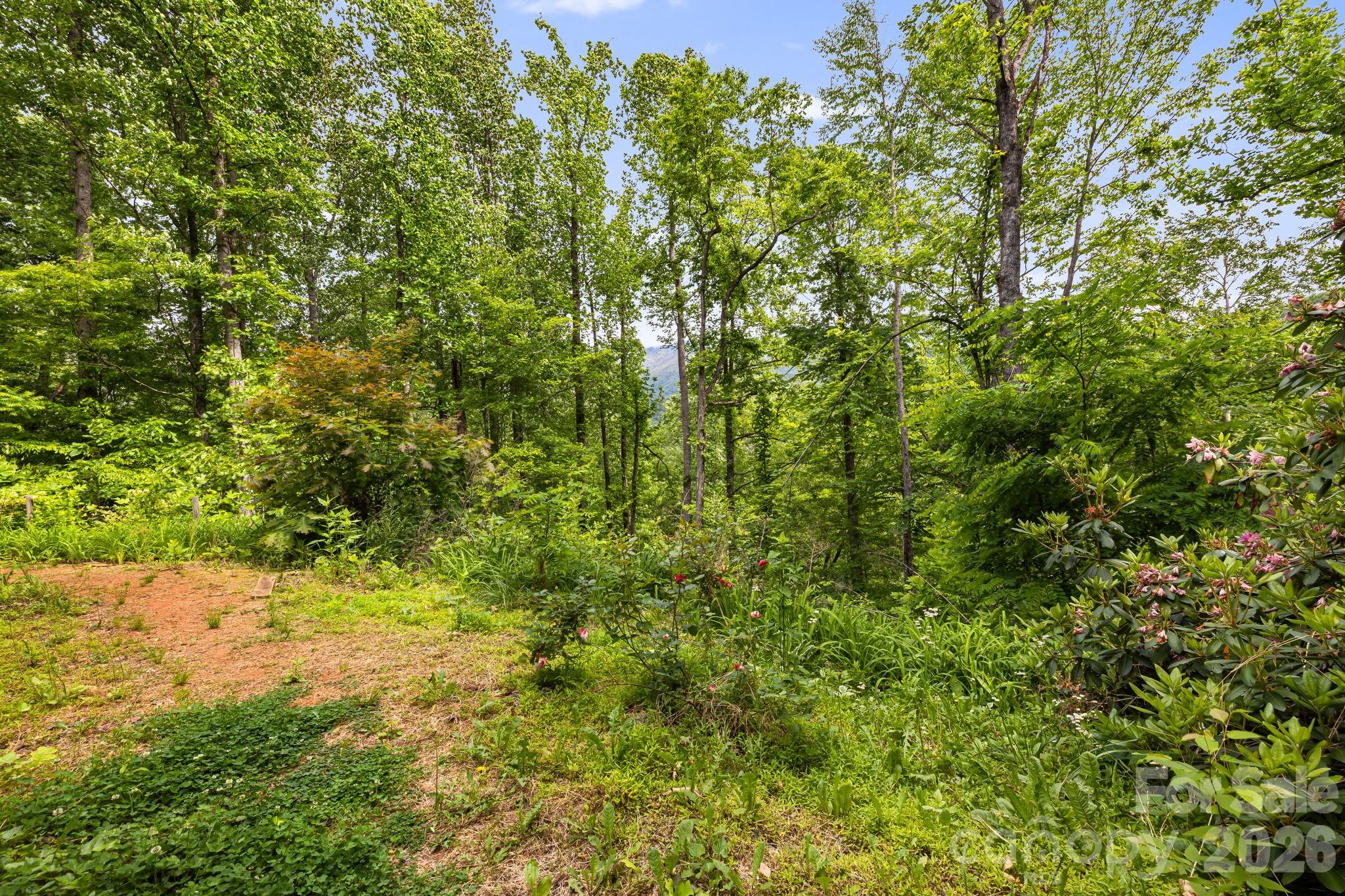 107 Mercy Ridge