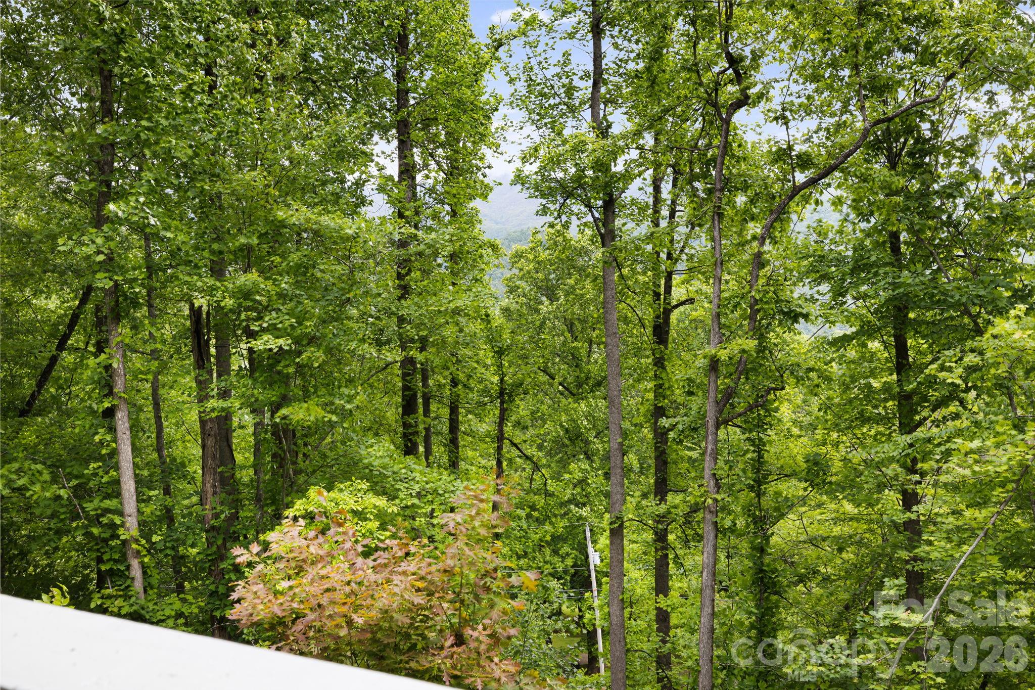 107 Mercy Ridge