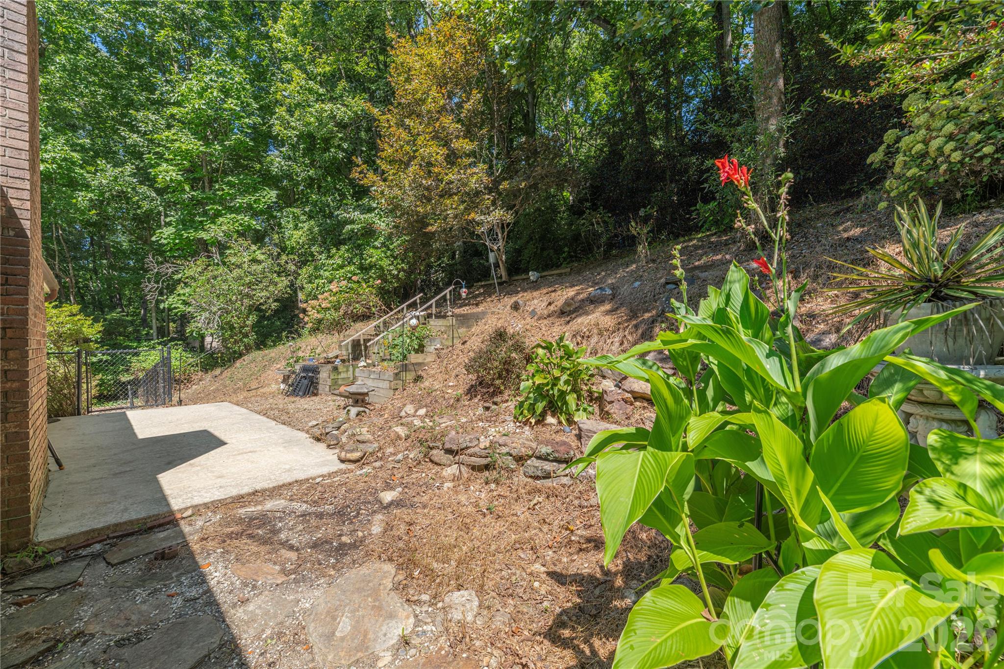 446 Deerhaven Lane