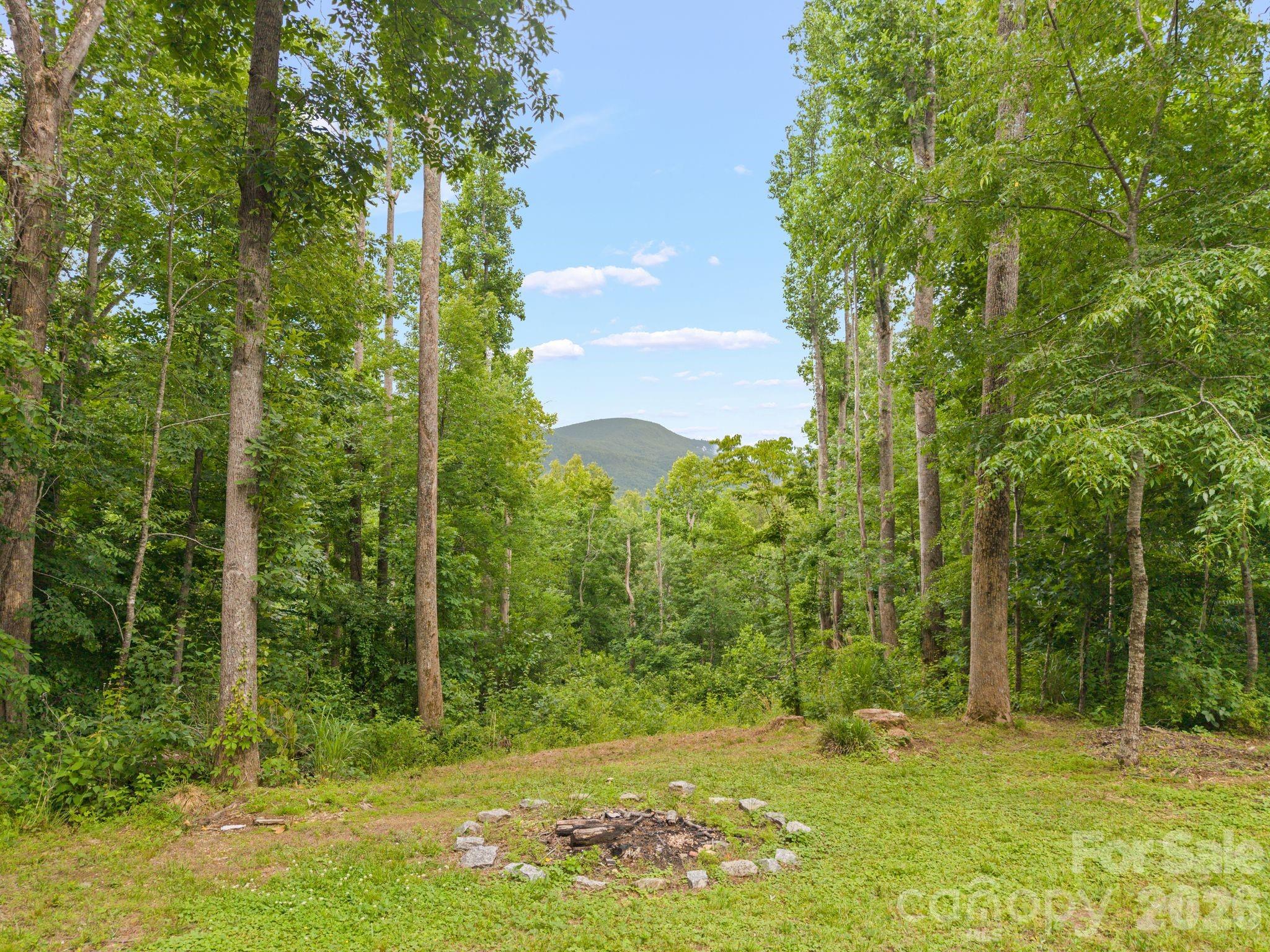 813 Beech Tree Place