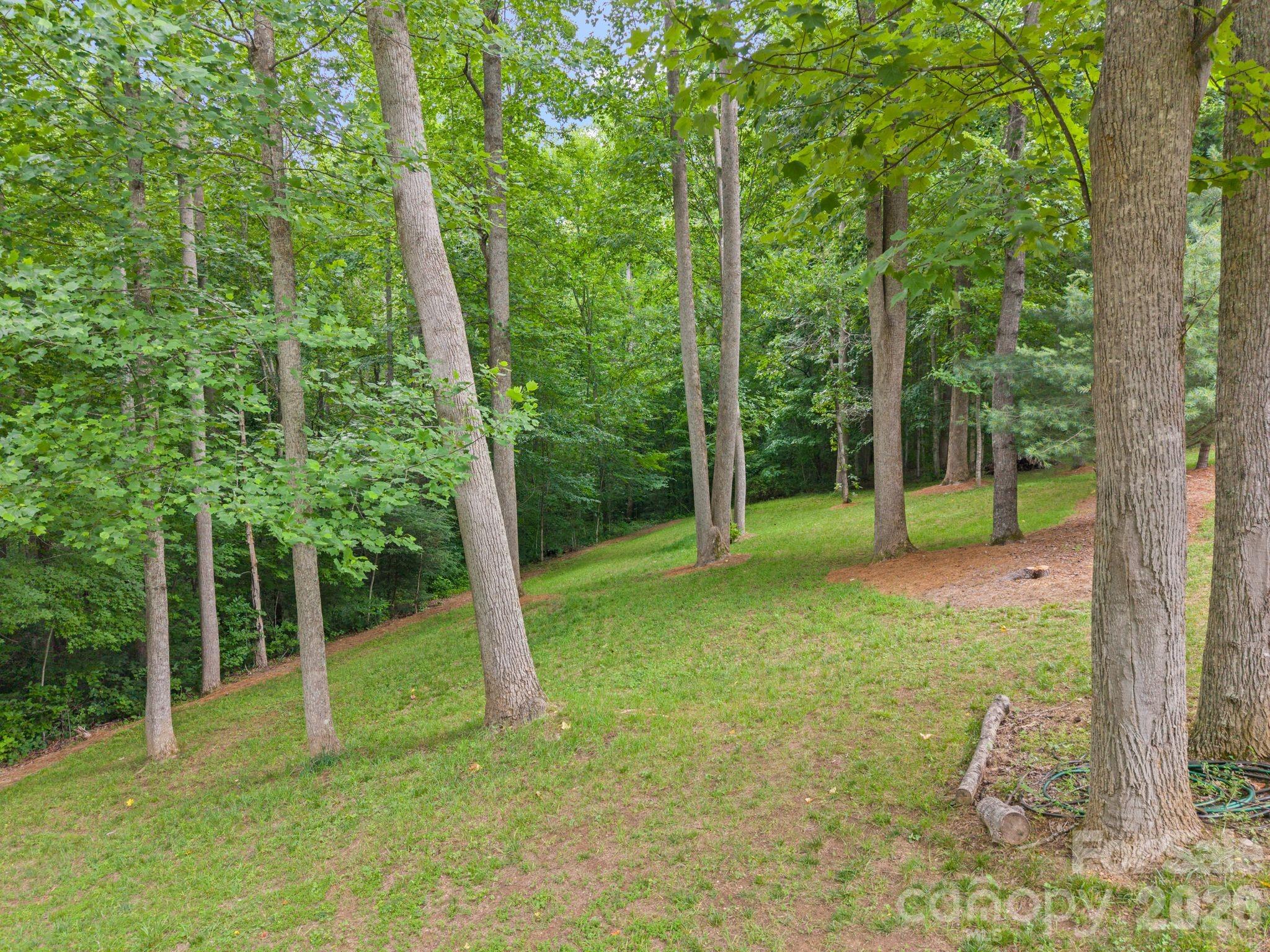 813 Beech Tree Place