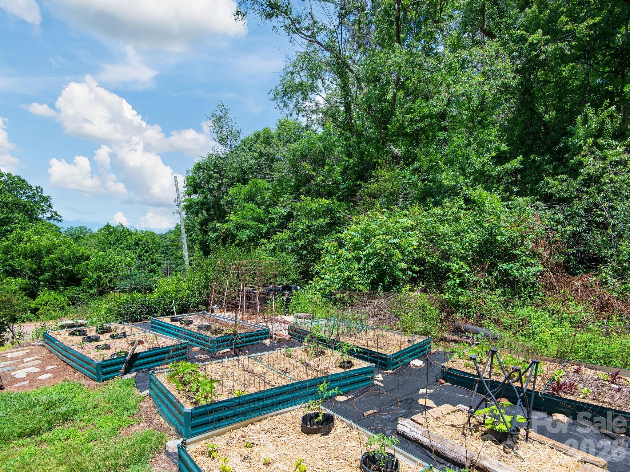 46 Perennial Ridge