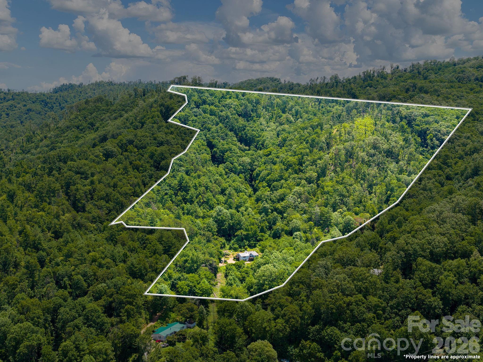46 Perennial Ridge