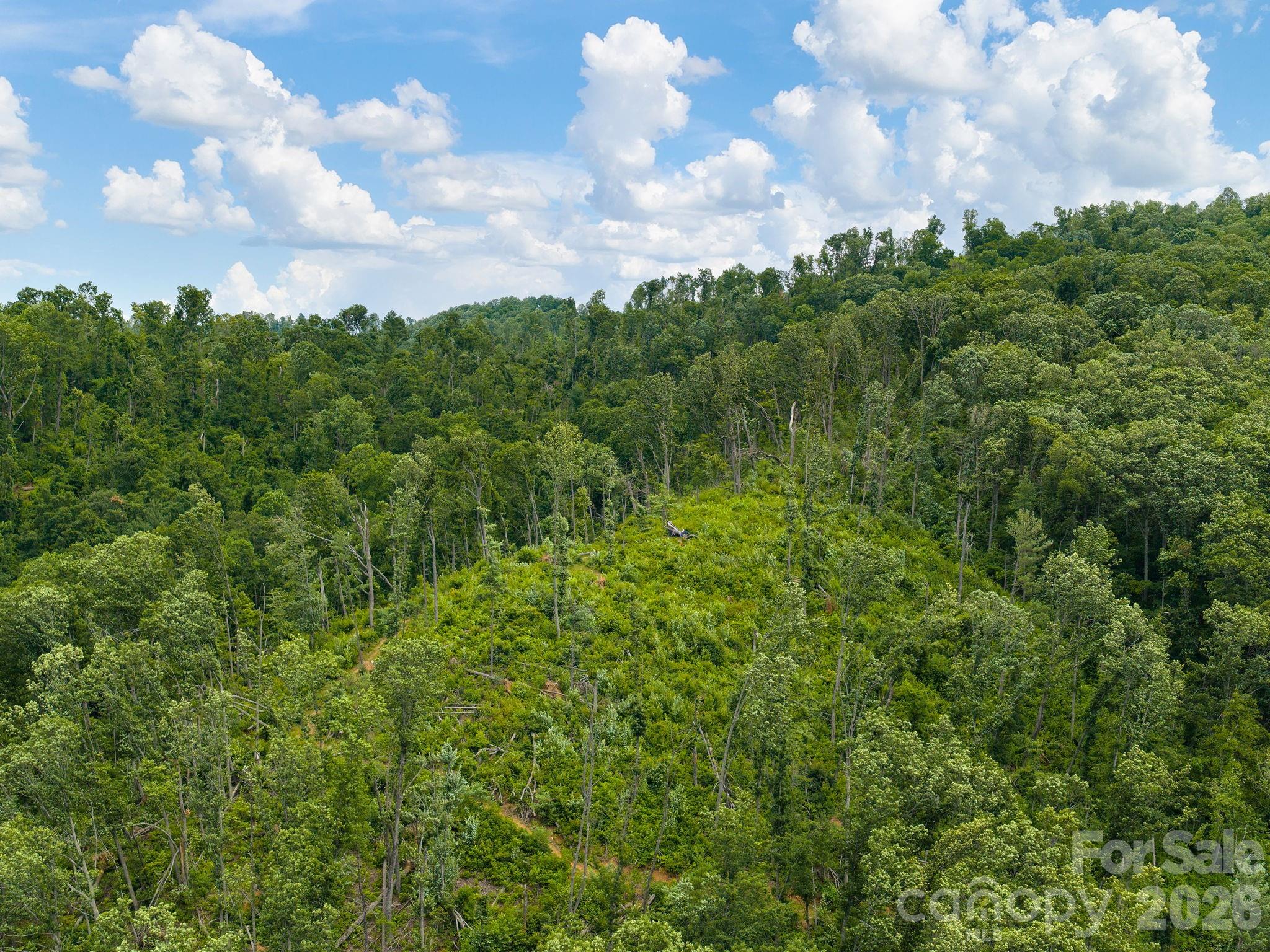46 Perennial Ridge