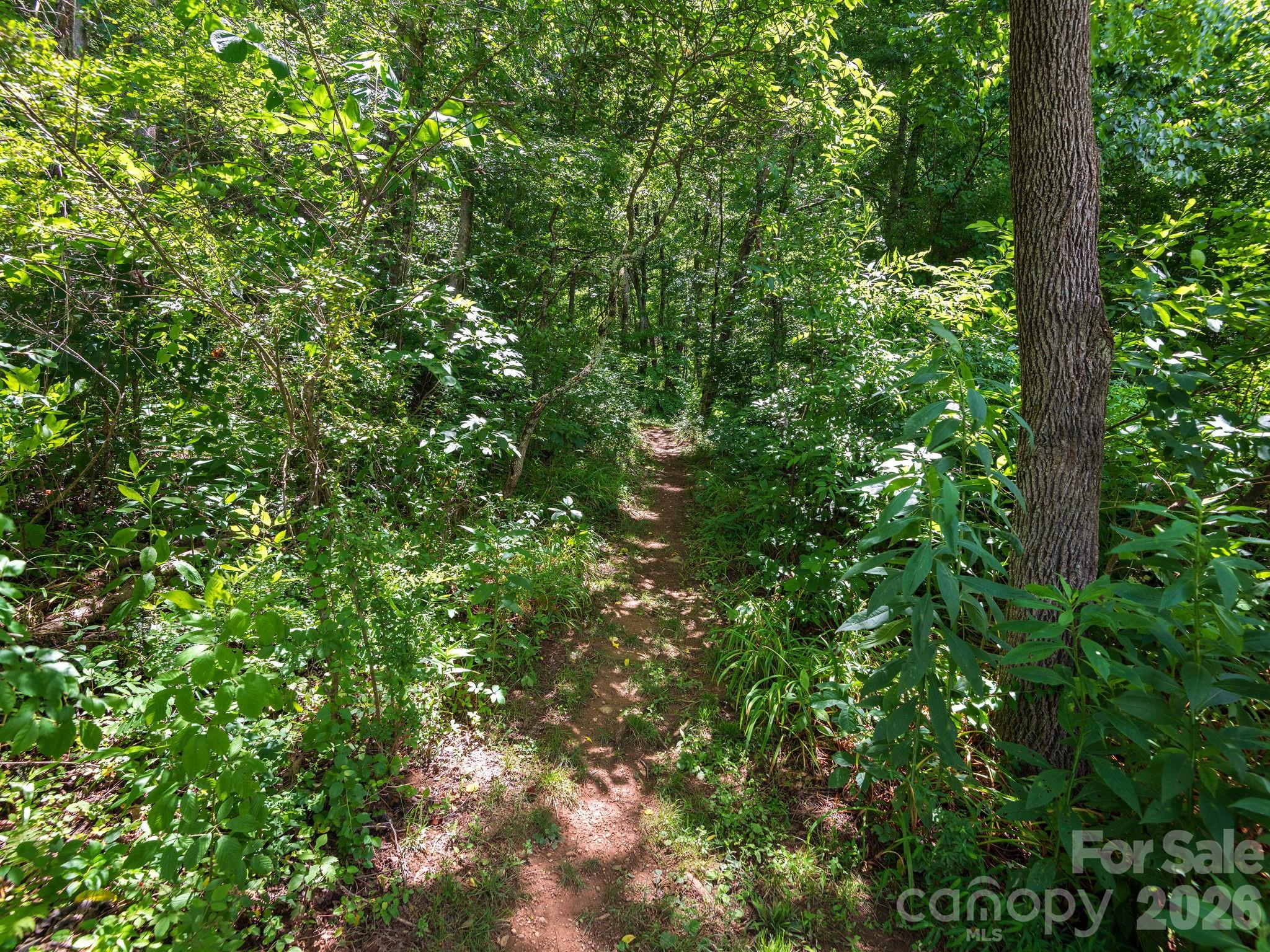 46 Perennial Ridge