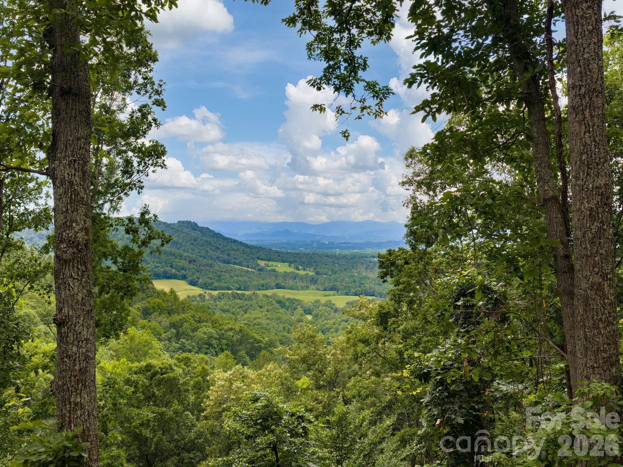 46 Perennial Ridge