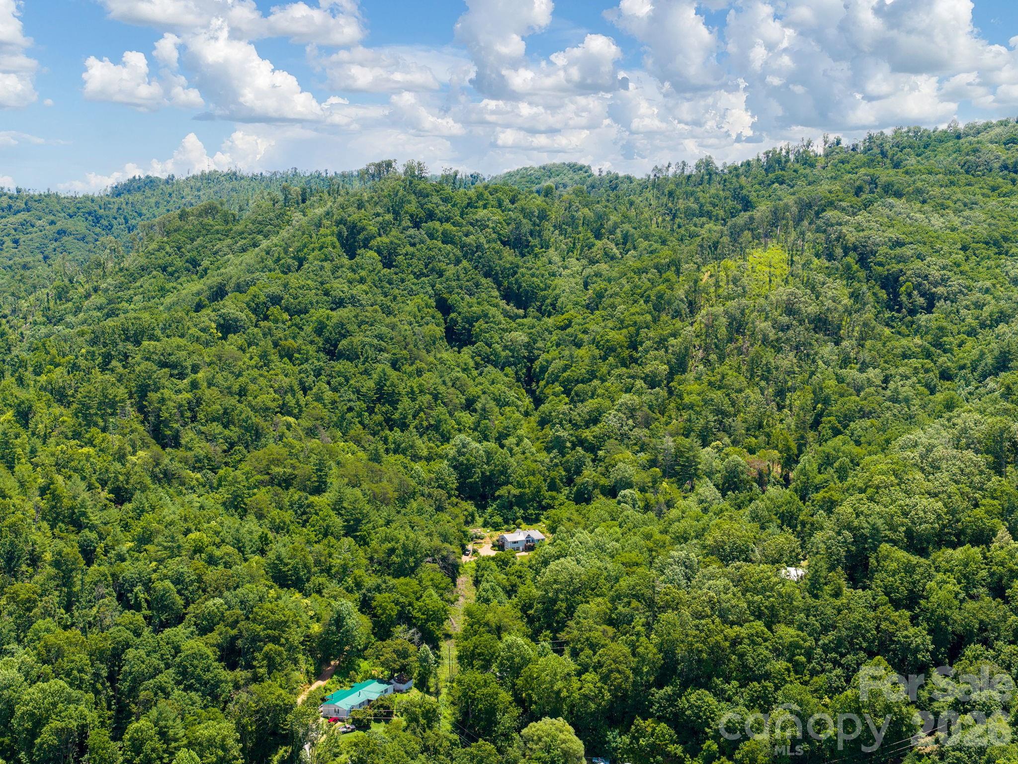 46 Perennial Ridge