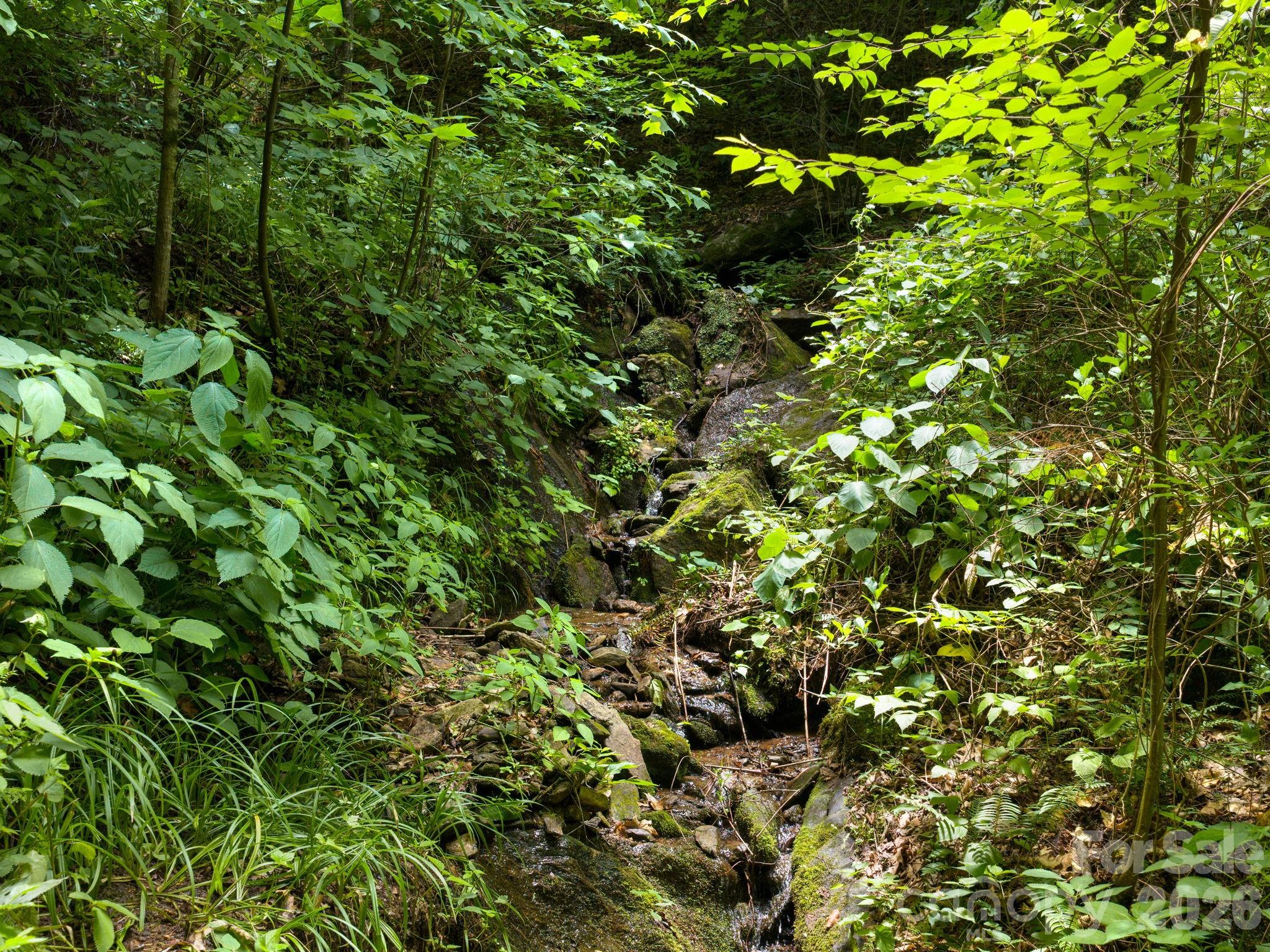 46 Perennial Ridge