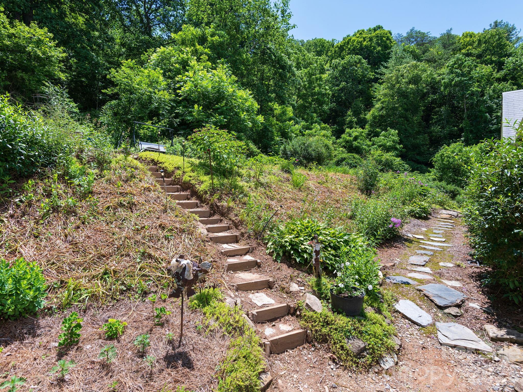 46 Perennial Ridge
