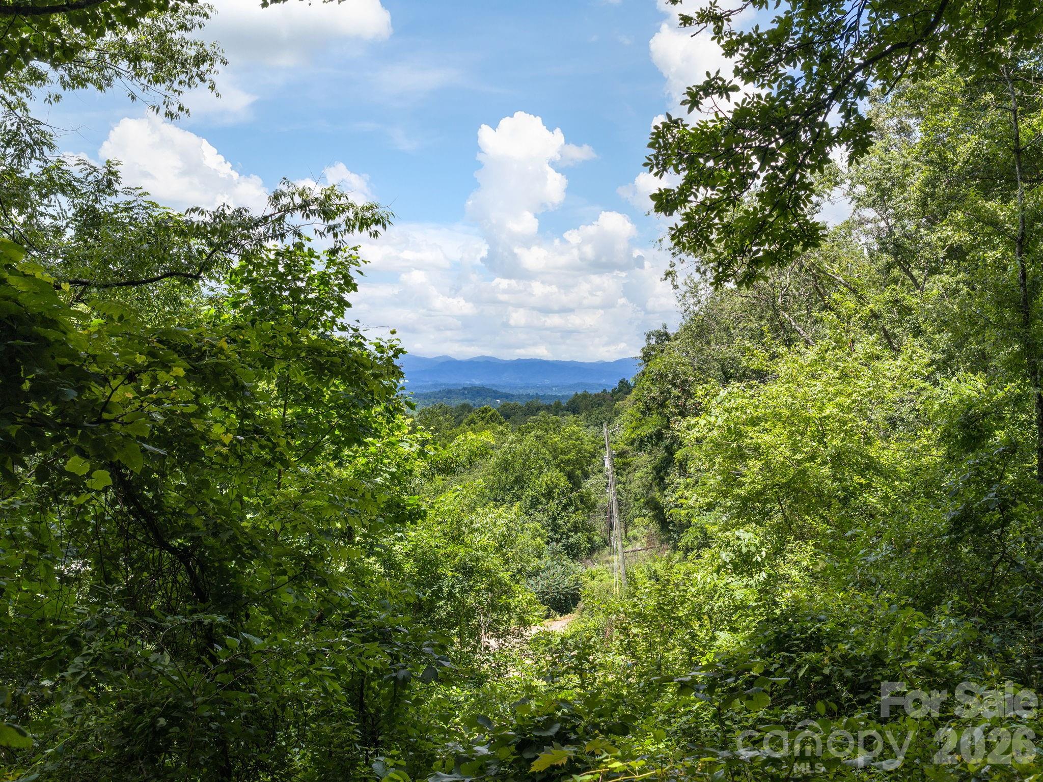 46 Perennial Ridge
