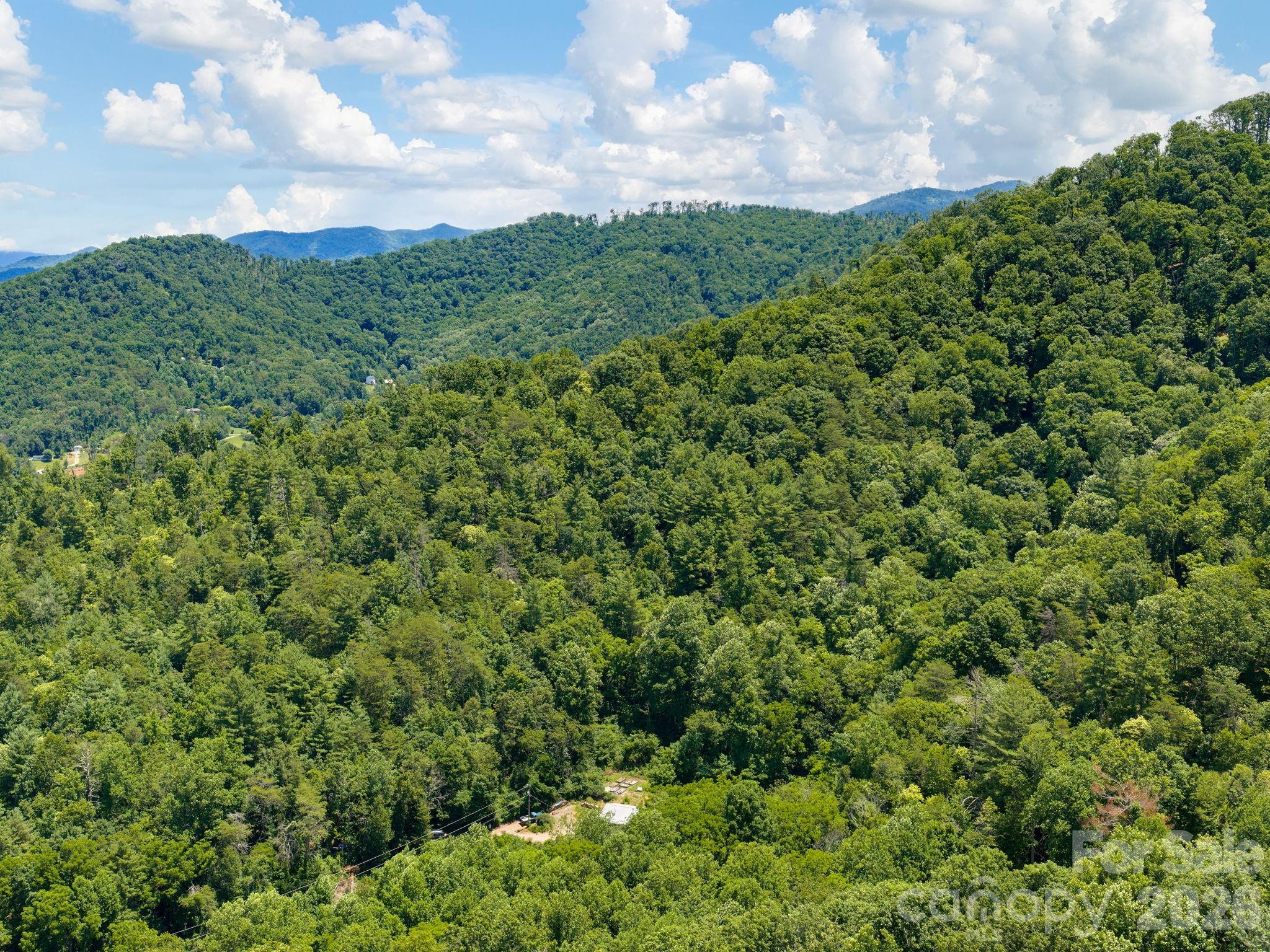 46 Perennial Ridge