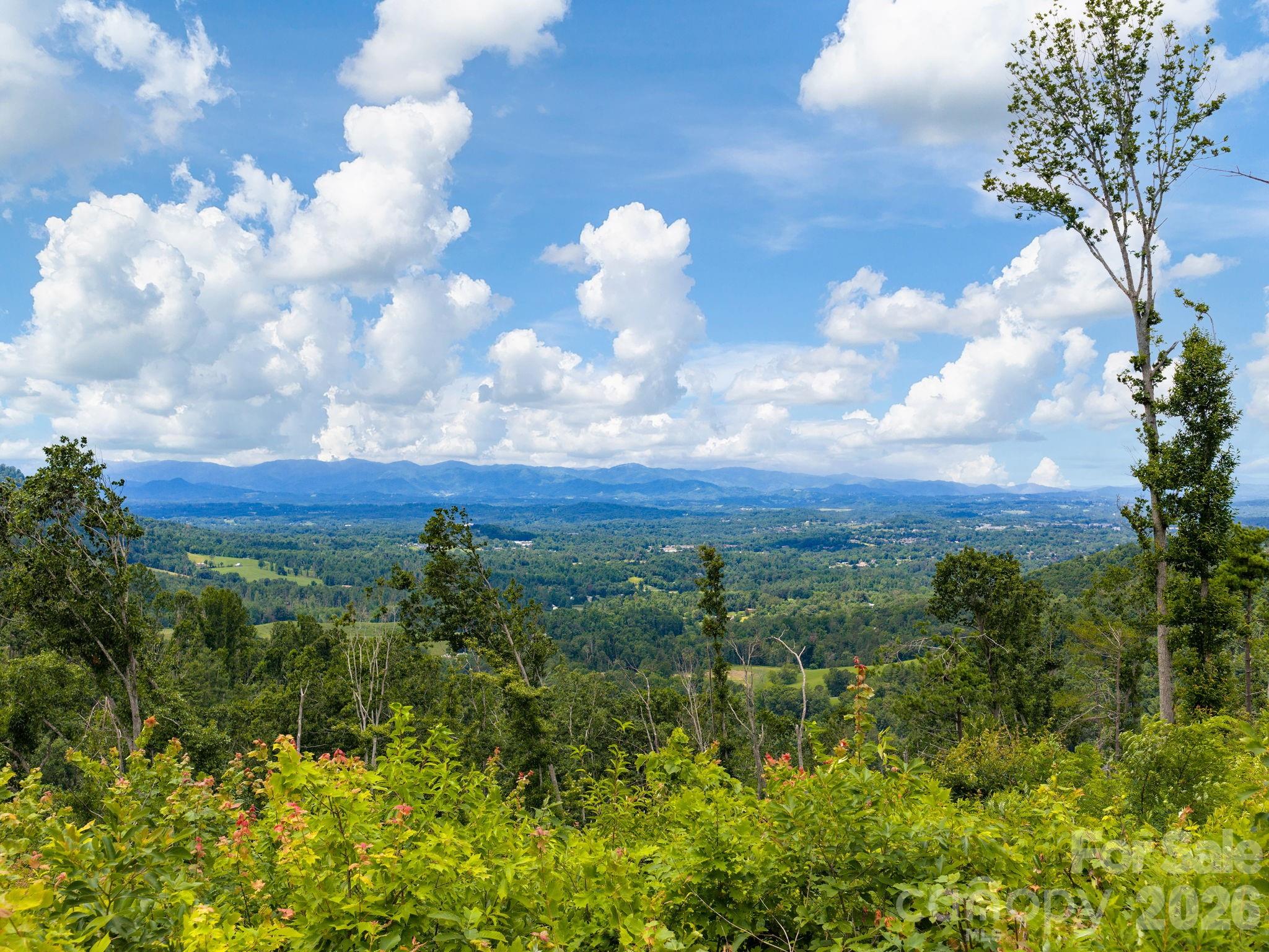 46 Perennial Ridge