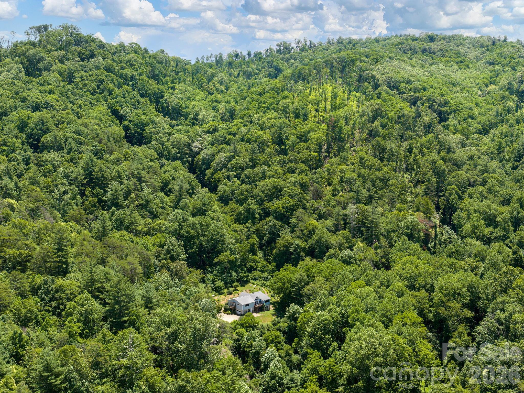 46 Perennial Ridge