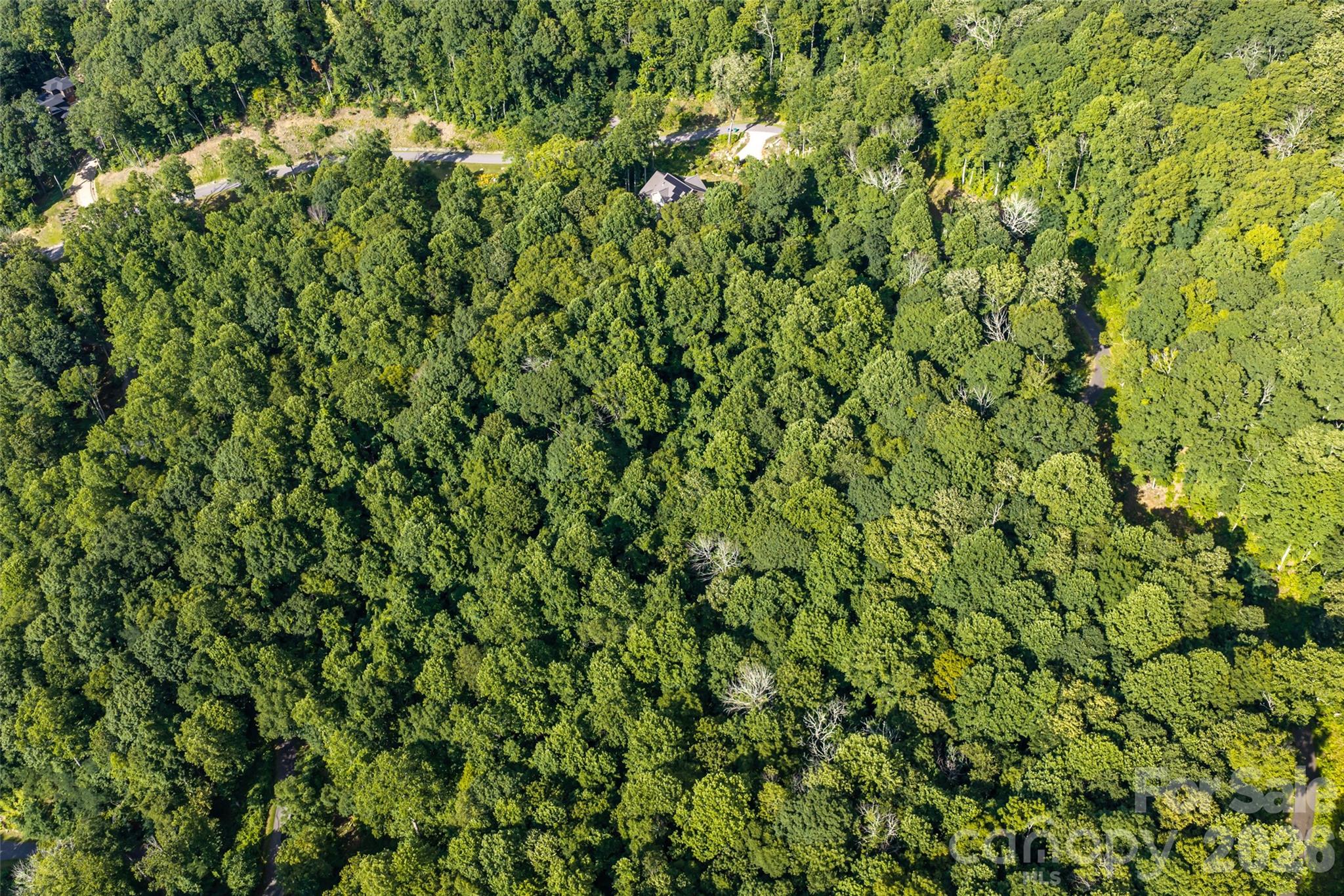 1043 Moss Creek Lane Unit: 69