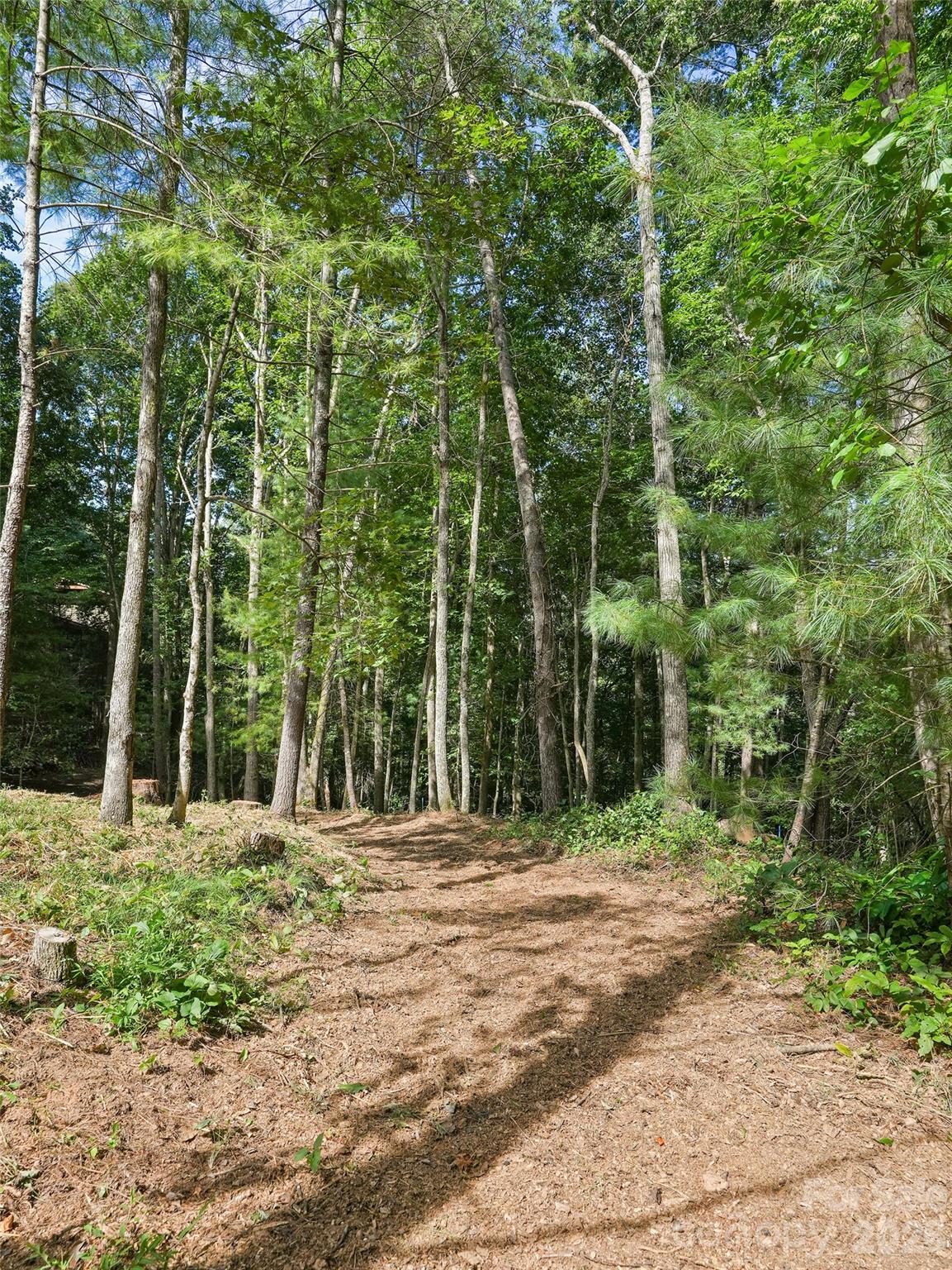 11 Tahchee Trail