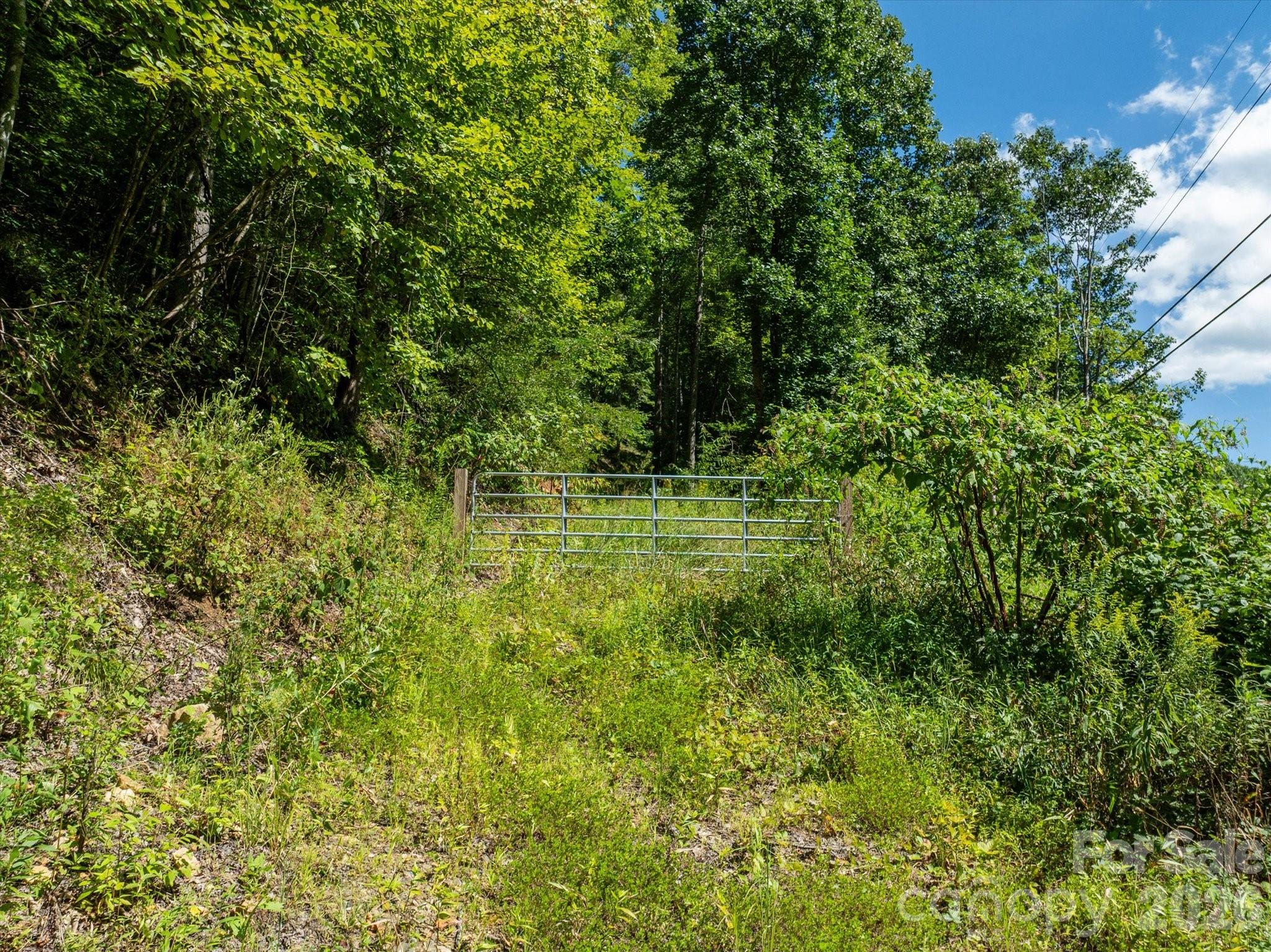 99999 Patsy Creek Road