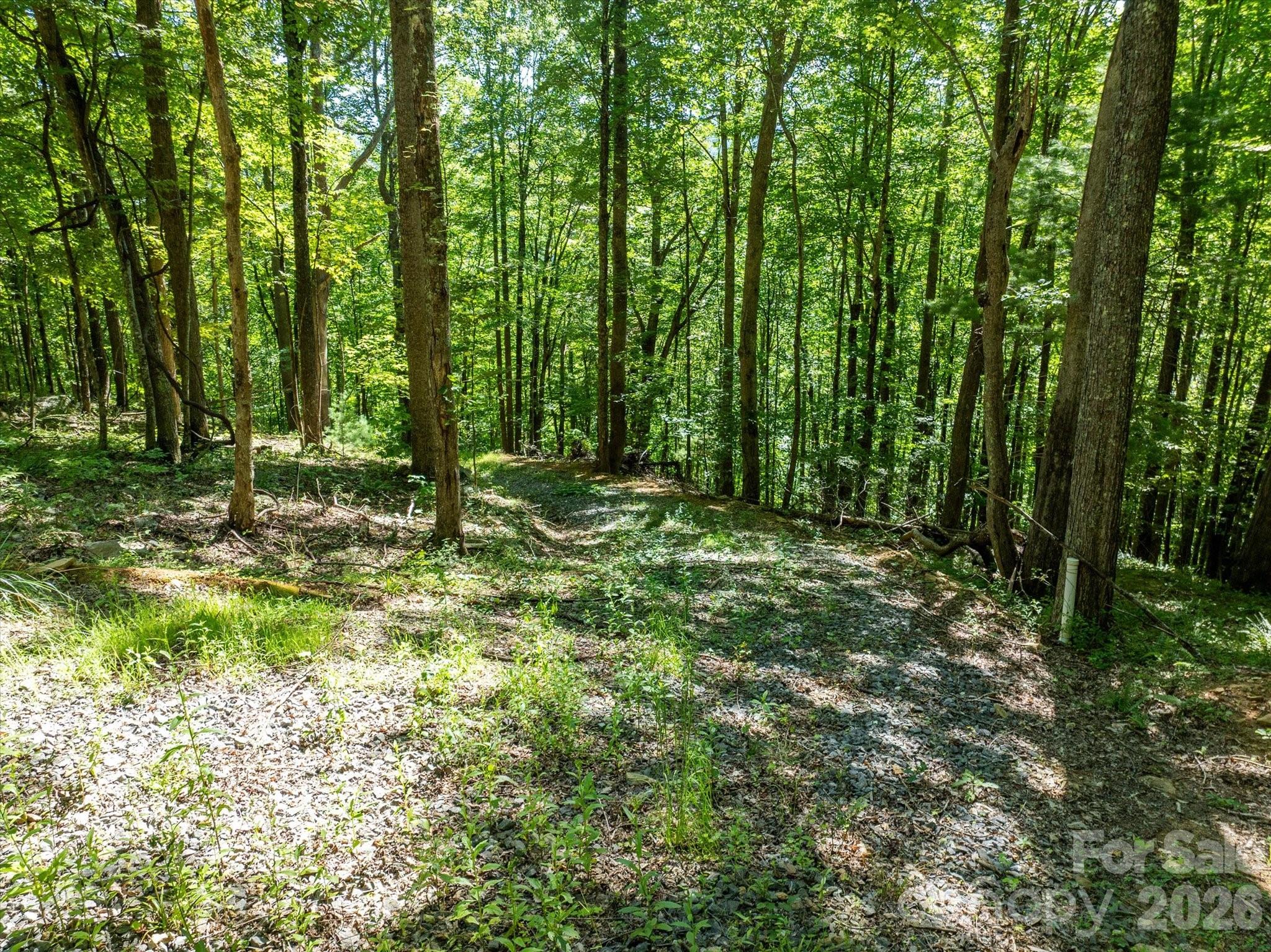 99999 Patsy Creek Road